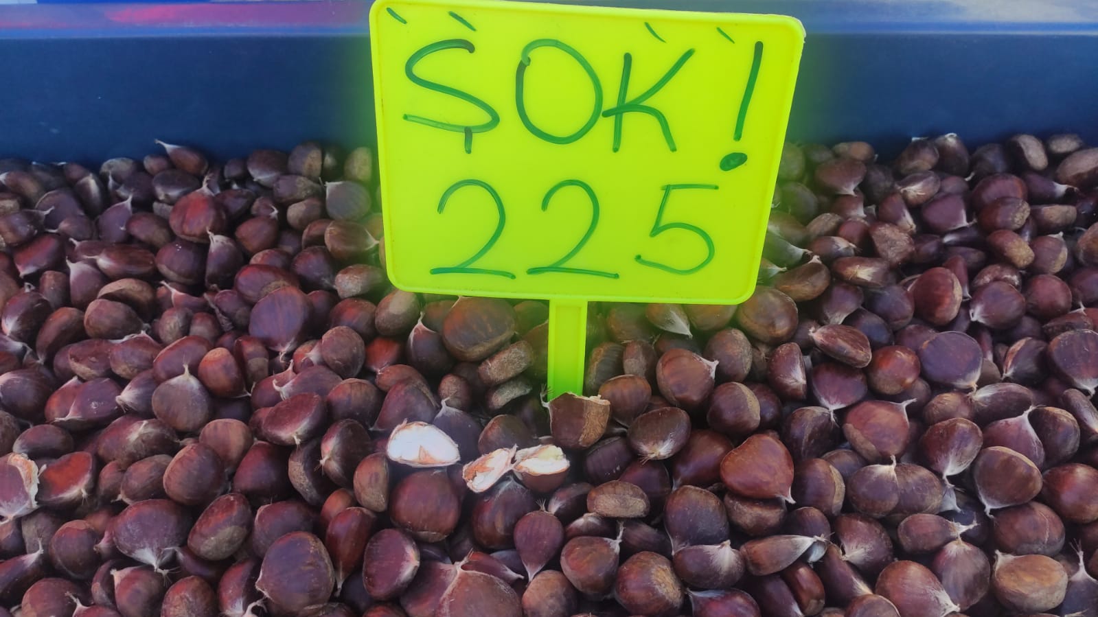 Whatsapp Image 2025 10 29 At 14.21.31