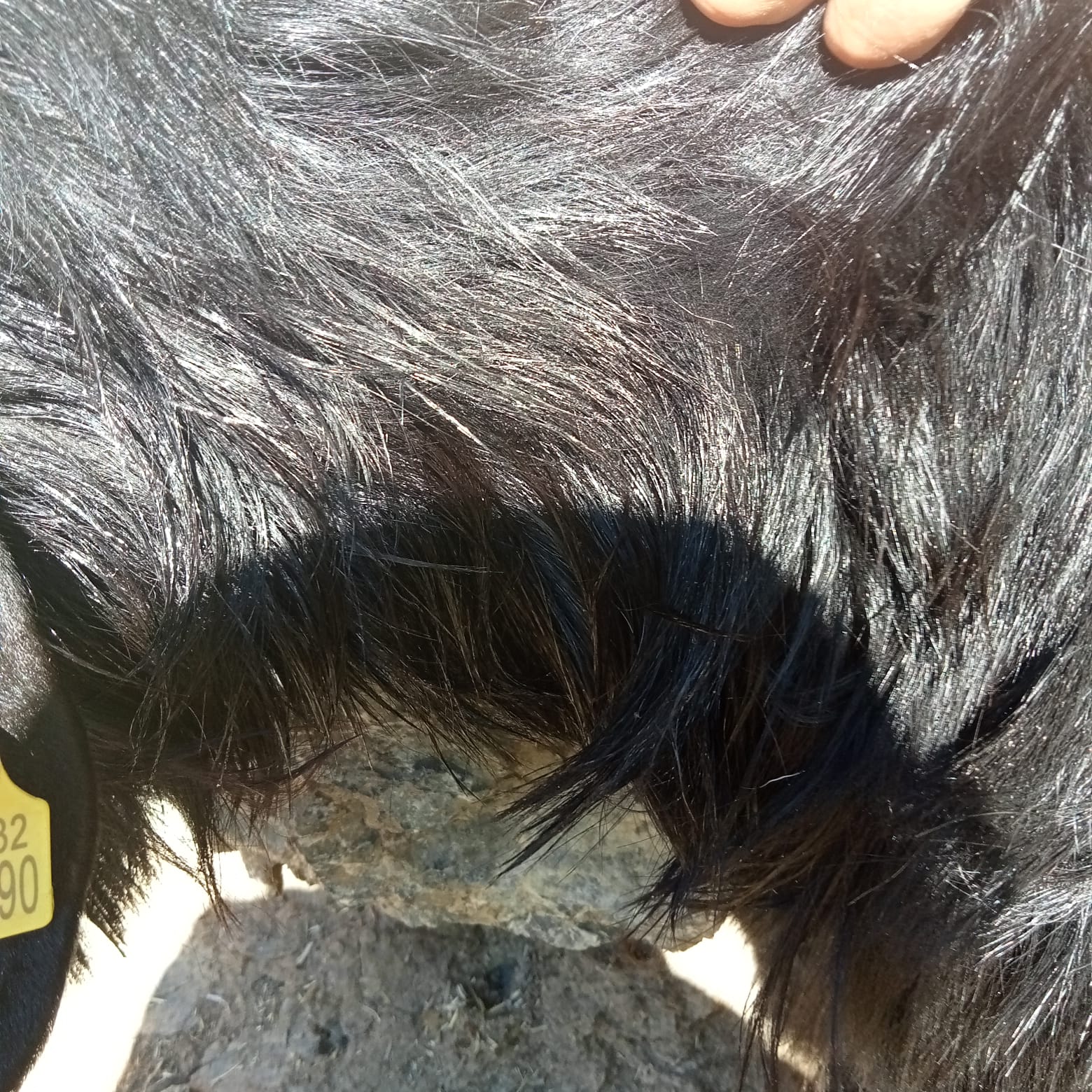 Whatsapp Image 2025 10 30 At 15.08.35 (1)