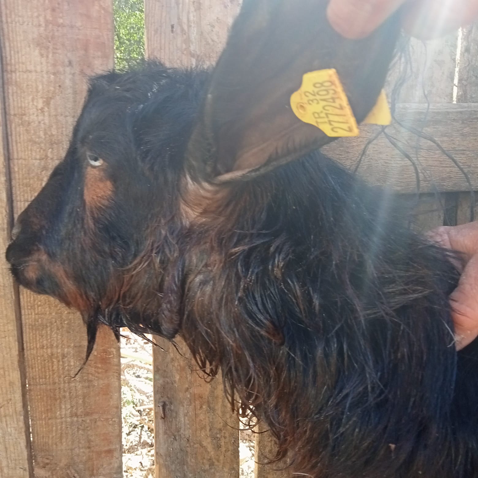 Whatsapp Image 2025 10 30 At 15.08.38