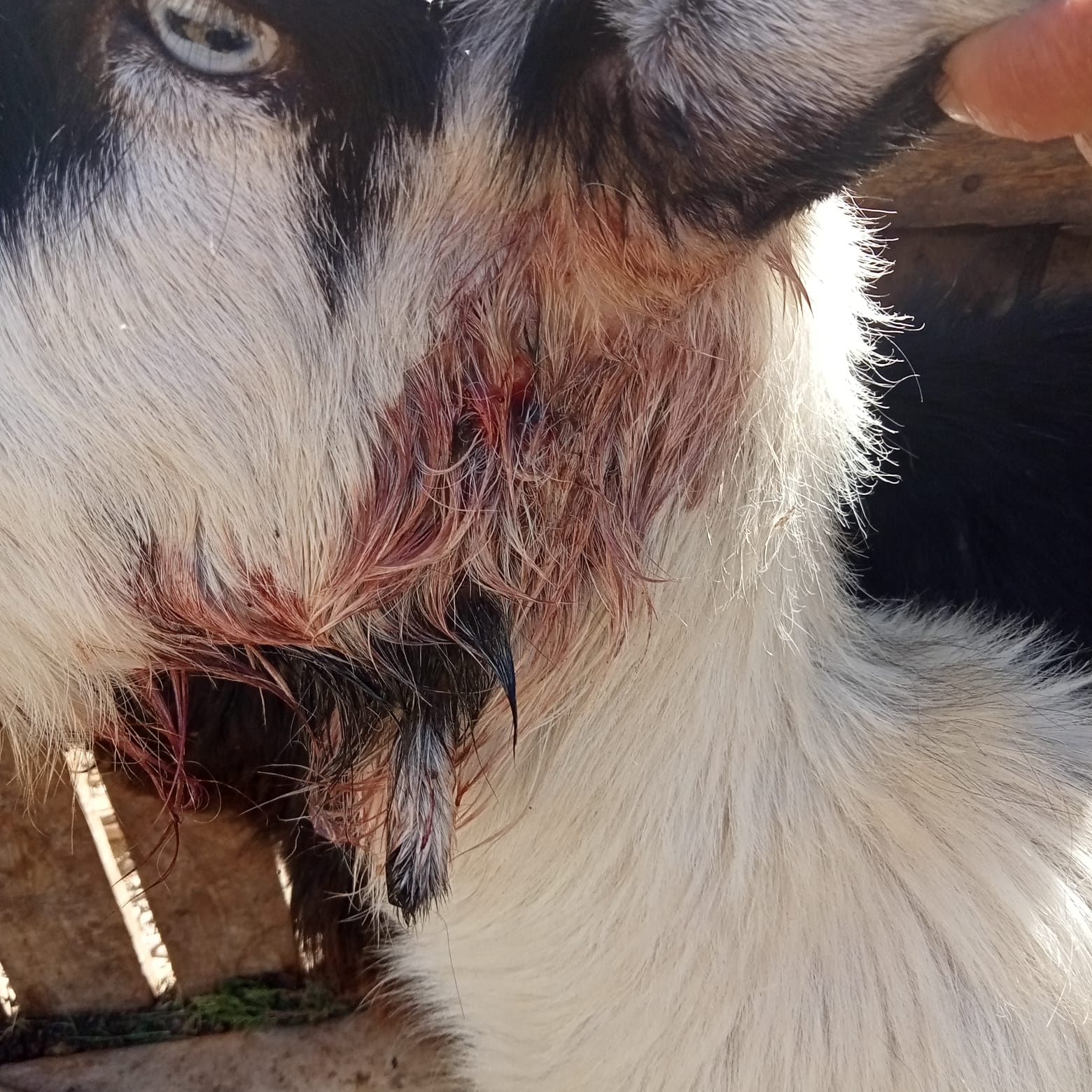 Whatsapp Image 2025 10 30 At 15.08.41