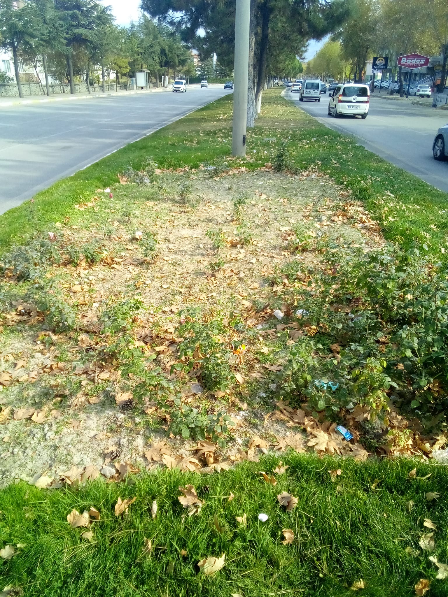 00129Ebf 53C7 4A6A A937 C475Ae161829