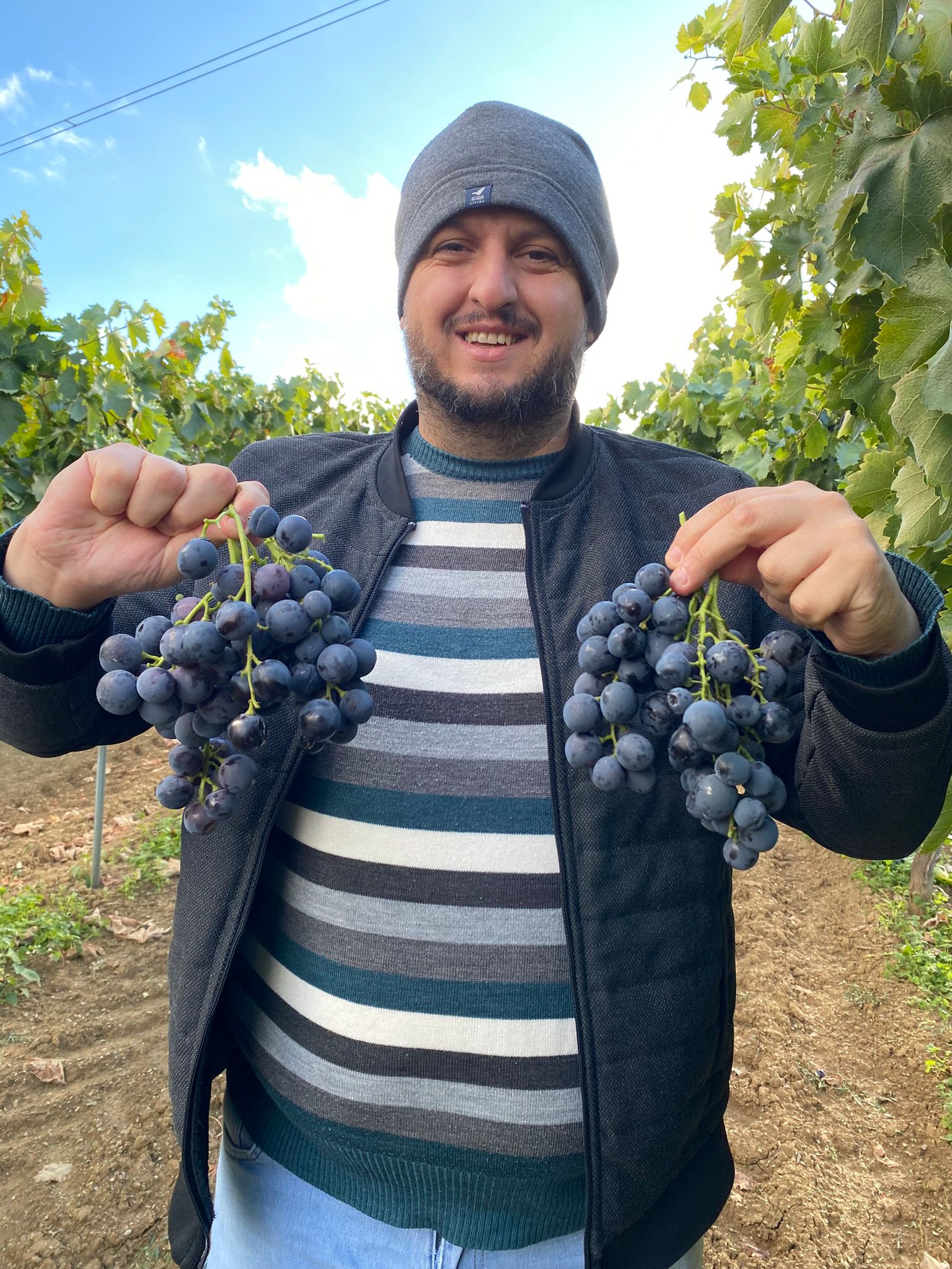 037Fc6D2 Bca6 49Ec 801D 44814948F1Ff