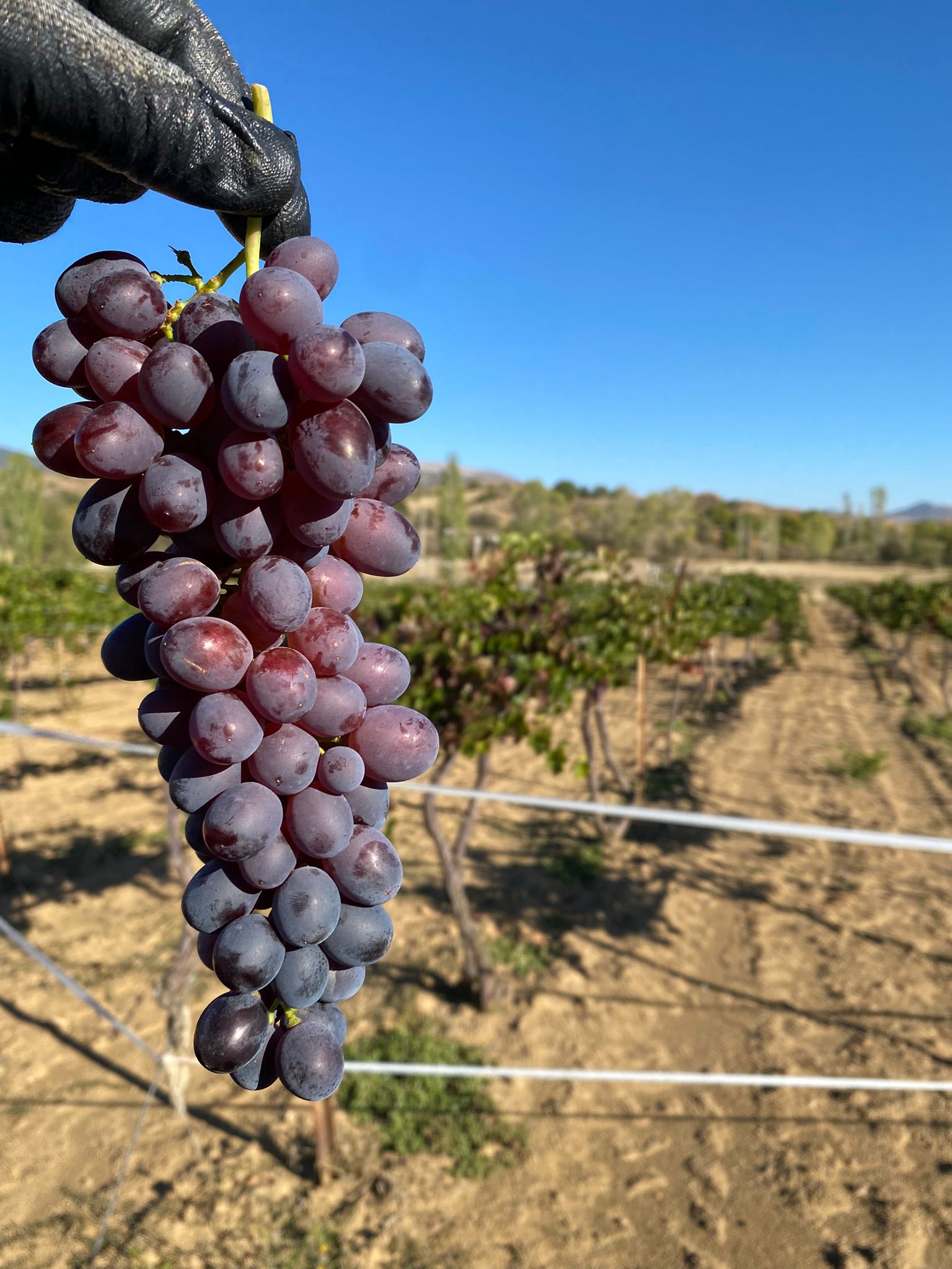 404F1851 Be89 4606 8Fb6 3F8C84918358