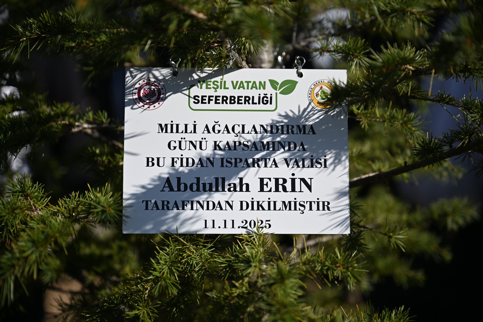 579939130 1377270973851800 6589667620873136644 N