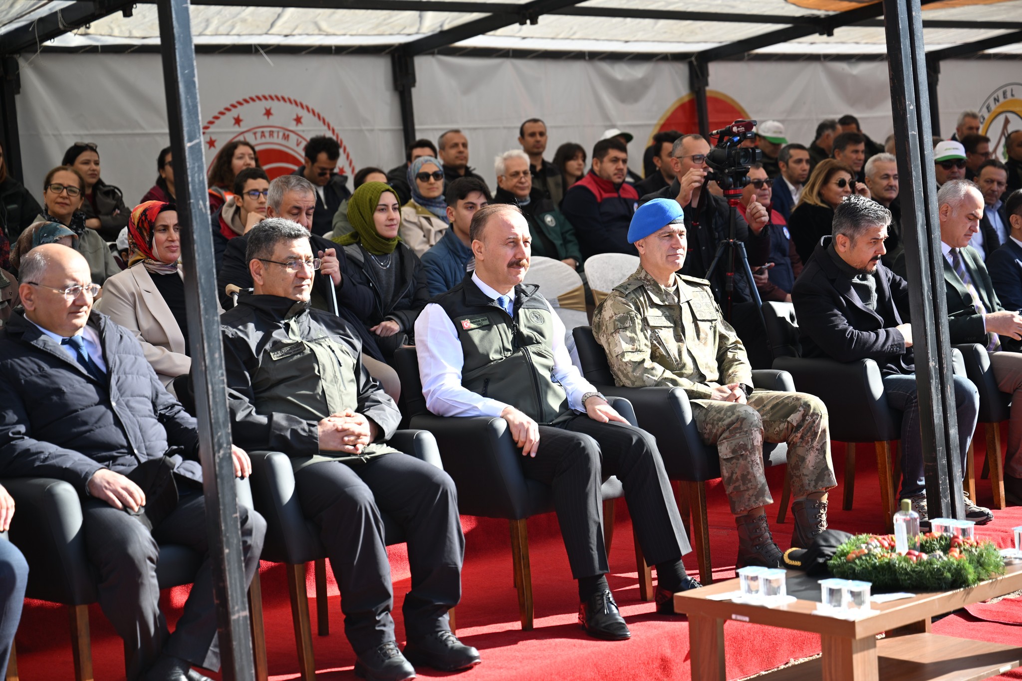 580572254 1377270840518480 5002786386879096374 N