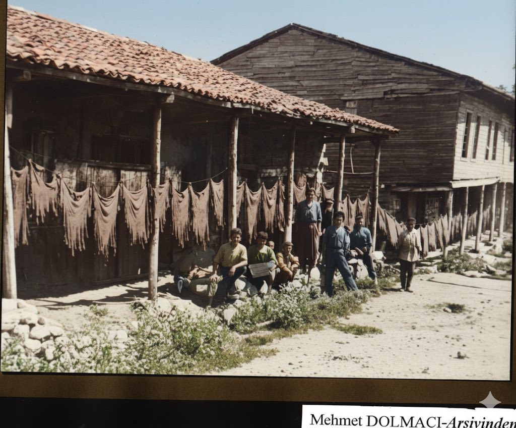 583904740 10239125572853231 2849246365977211477 N