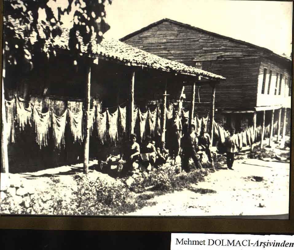 584215214 10239125378168364 2487020711226370392 N