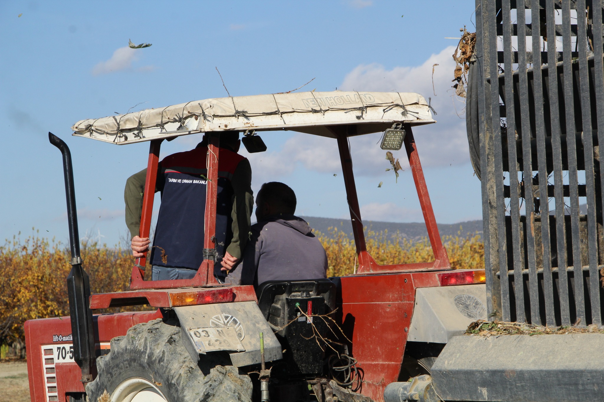 587191605 1163867615852928 7327791541770595284 N