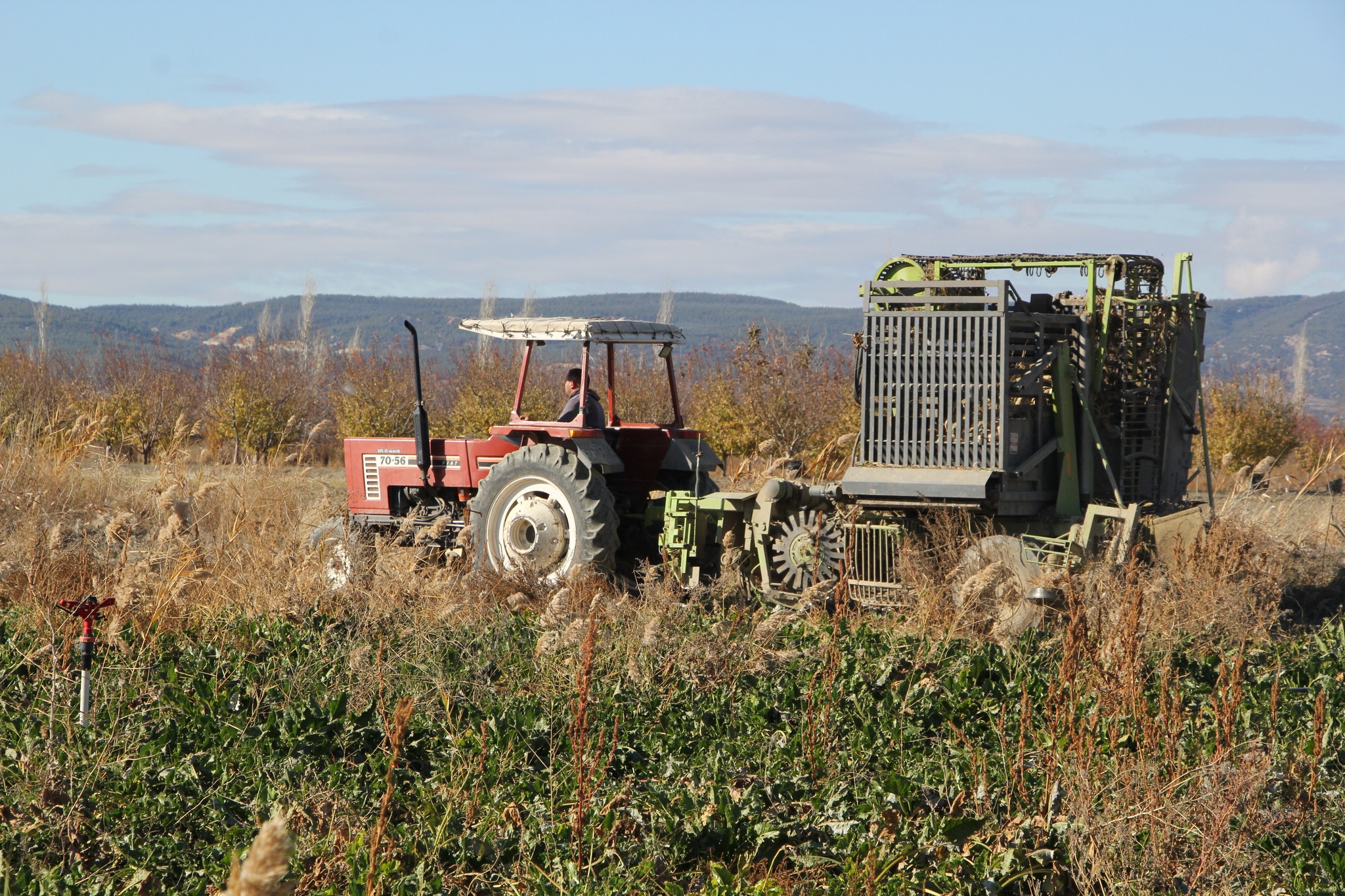 588092536 1163867529186270 288538352678363841 N