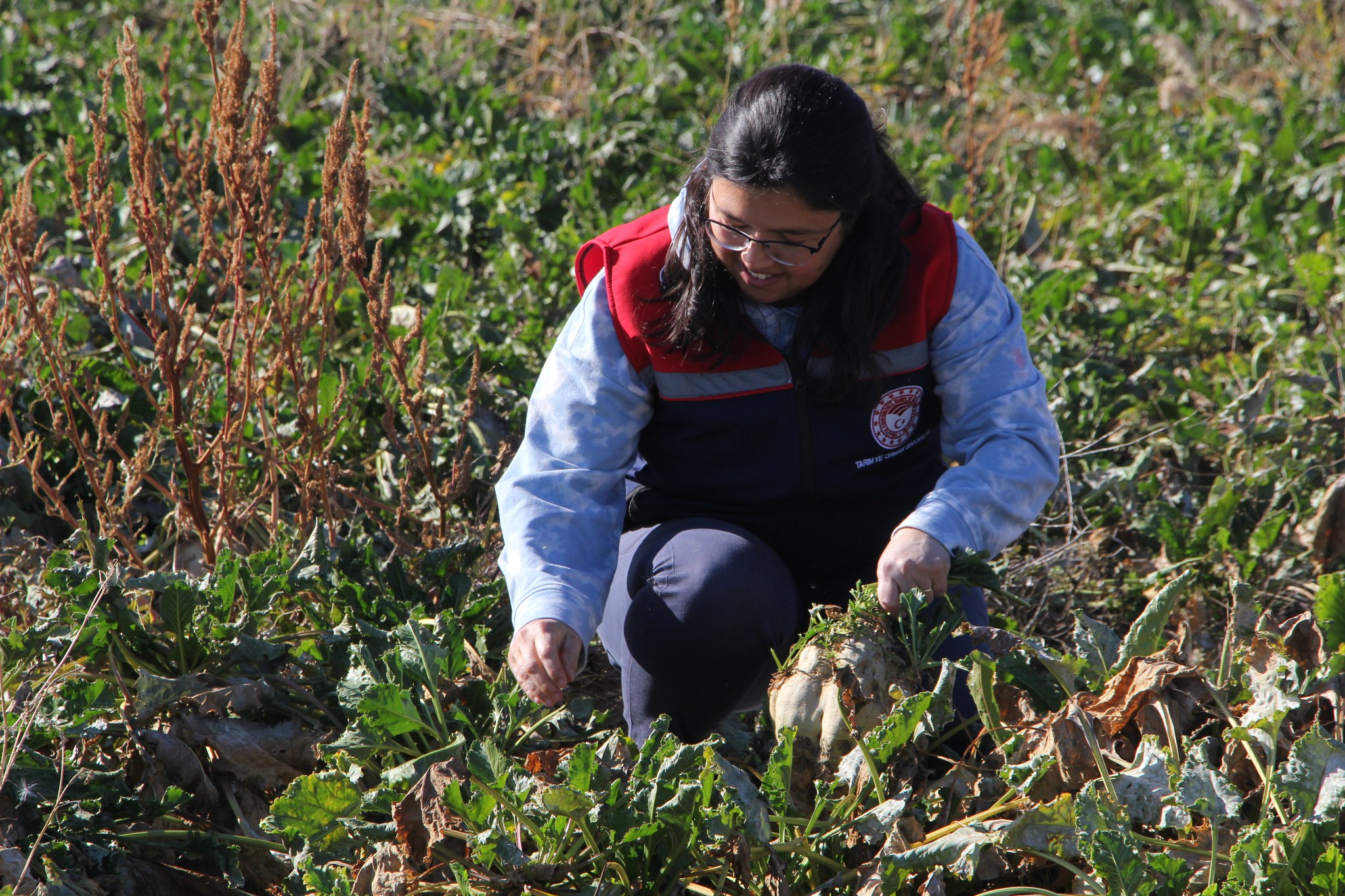 588885742 1163867502519606 8121550775244102354 N