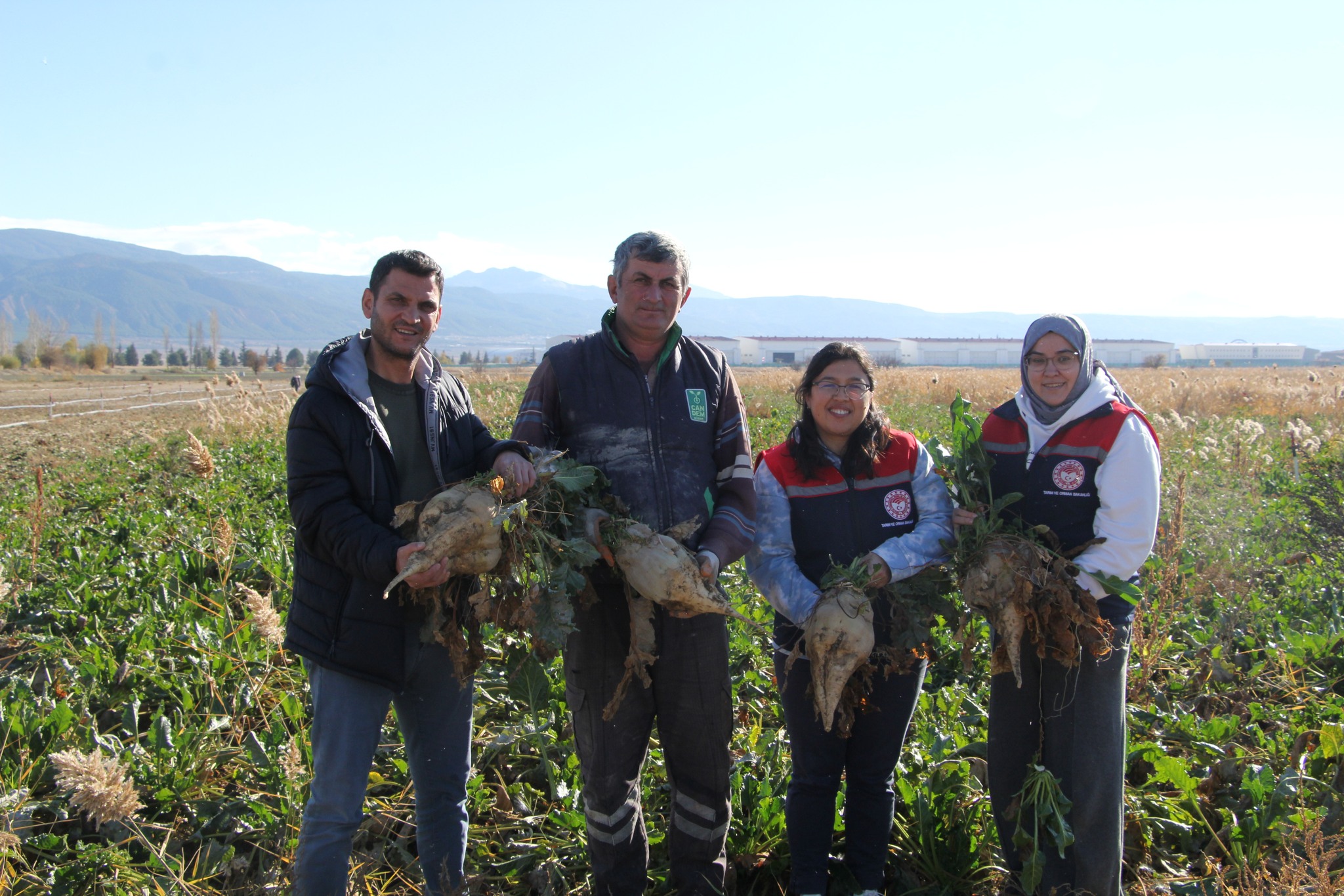 590445551 1163867472519609 4406317085342188136 N