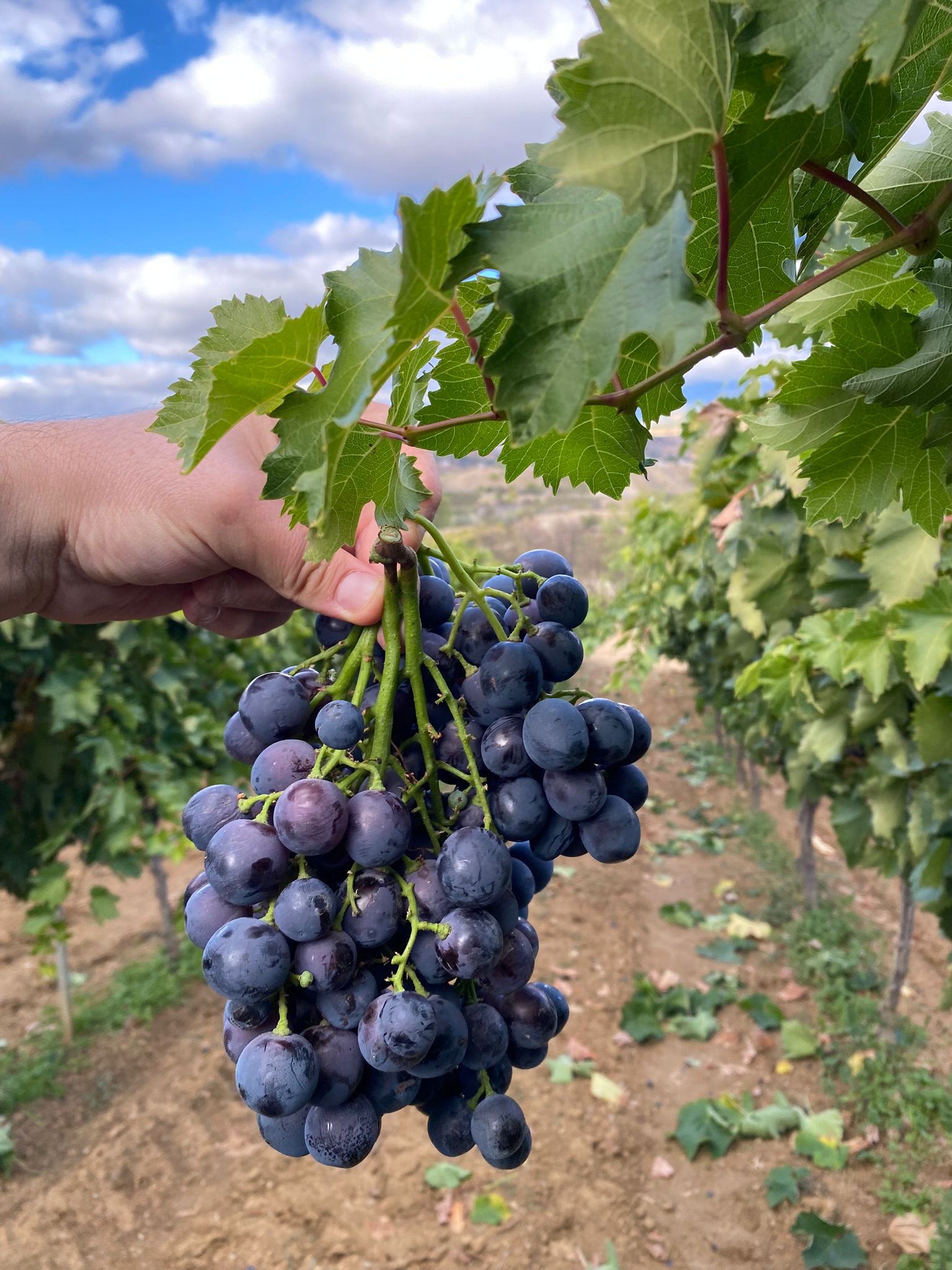 885327B2 Ea72 4Da1 Ad1F 12Aaa9A6015C