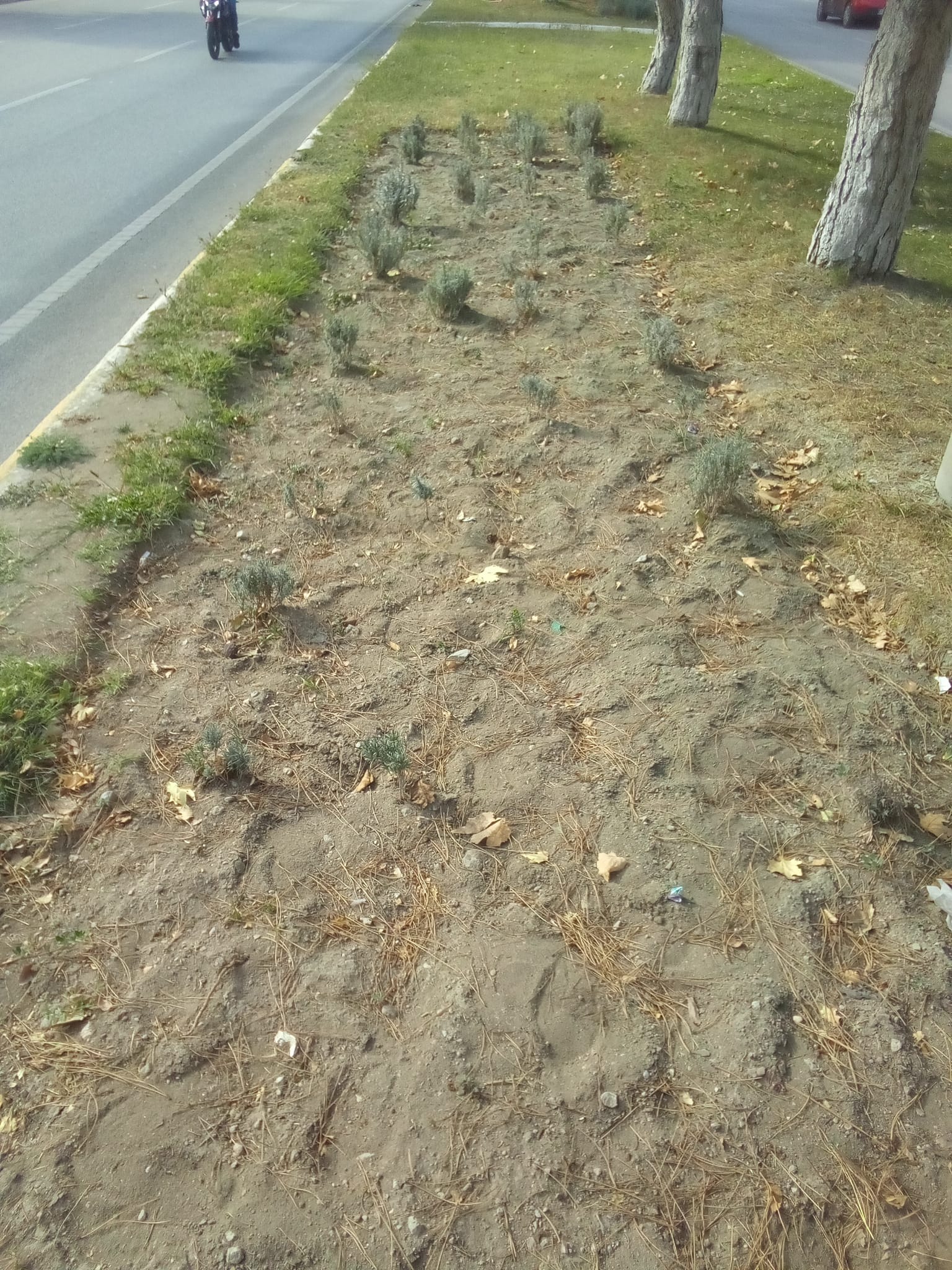 A7B56E80 C4D7 41Cc B17E 02225C5Fed7D