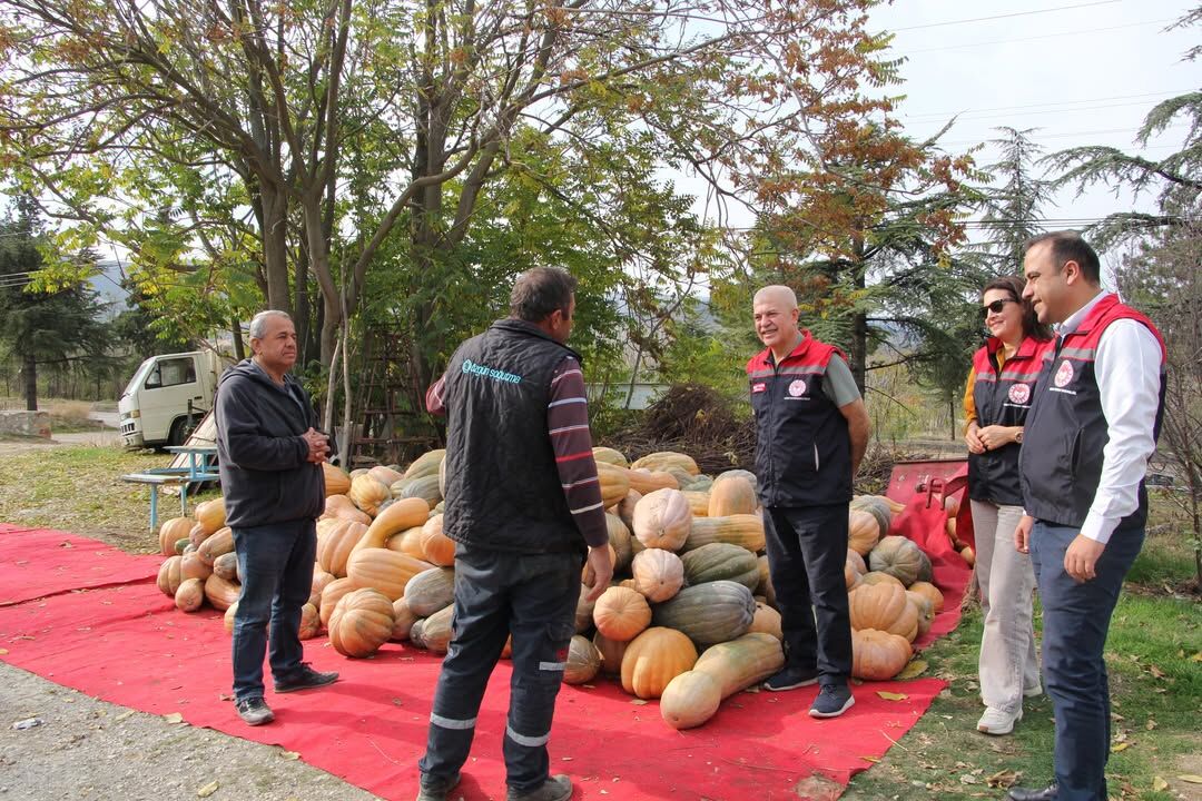 🌱🎃 Bal Kabağı Üreticisine Yerinde Ziyaret!İl Tarım Ve Orman Müdürü Mehmet Tuğrul, Teknik Ekibi (1)
