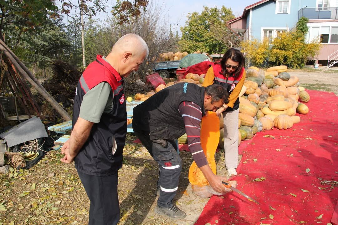 🌱🎃 Bal Kabağı Üreticisine Yerinde Ziyaret!İl Tarım Ve Orman Müdürü Mehmet Tuğrul, Teknik Ekibi (2)
