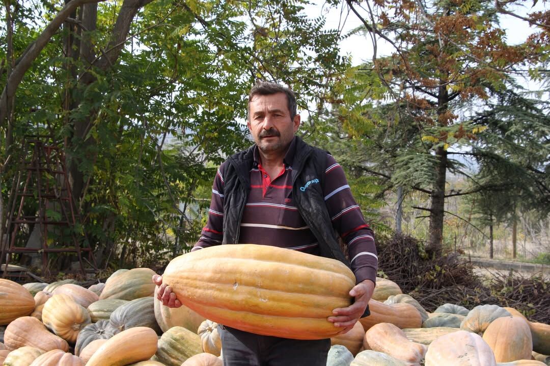 🌱🎃 Bal Kabağı Üreticisine Yerinde Ziyaret!İl Tarım Ve Orman Müdürü Mehmet Tuğrul, Teknik Ekibi (3)