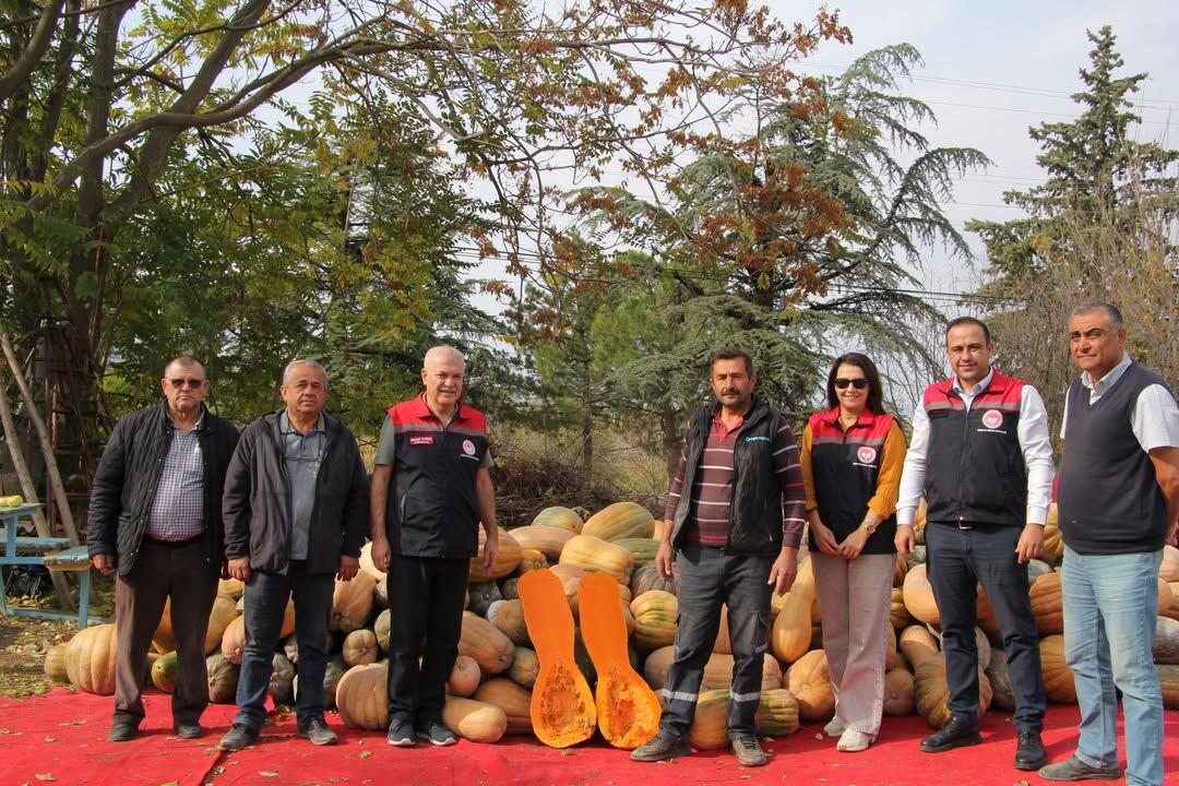 🌱🎃 Bal Kabağı Üreticisine Yerinde Ziyaret!İl Tarım Ve Orman Müdürü Mehmet Tuğrul, Teknik Ekibi