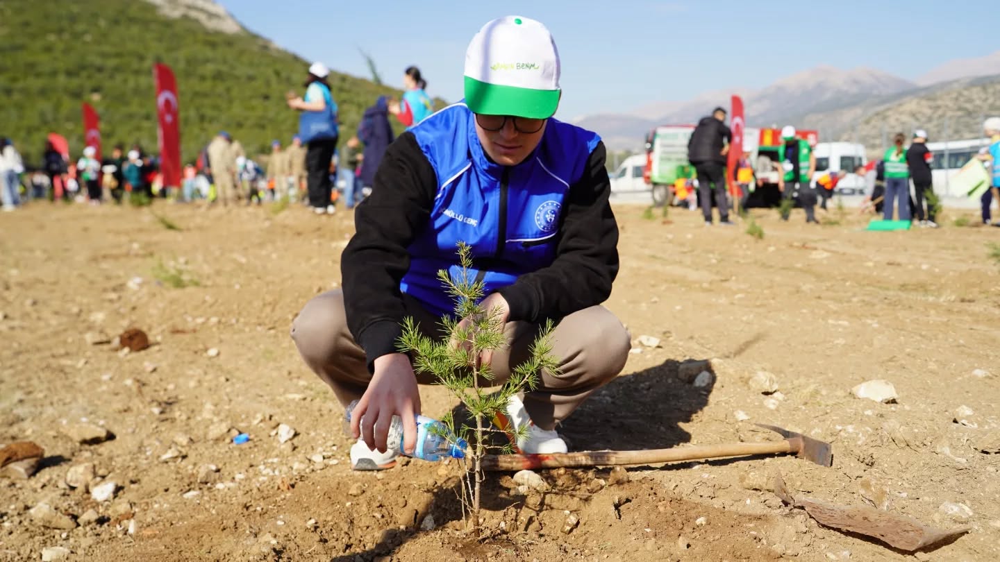 Gençlik Spor Ağaç (1)