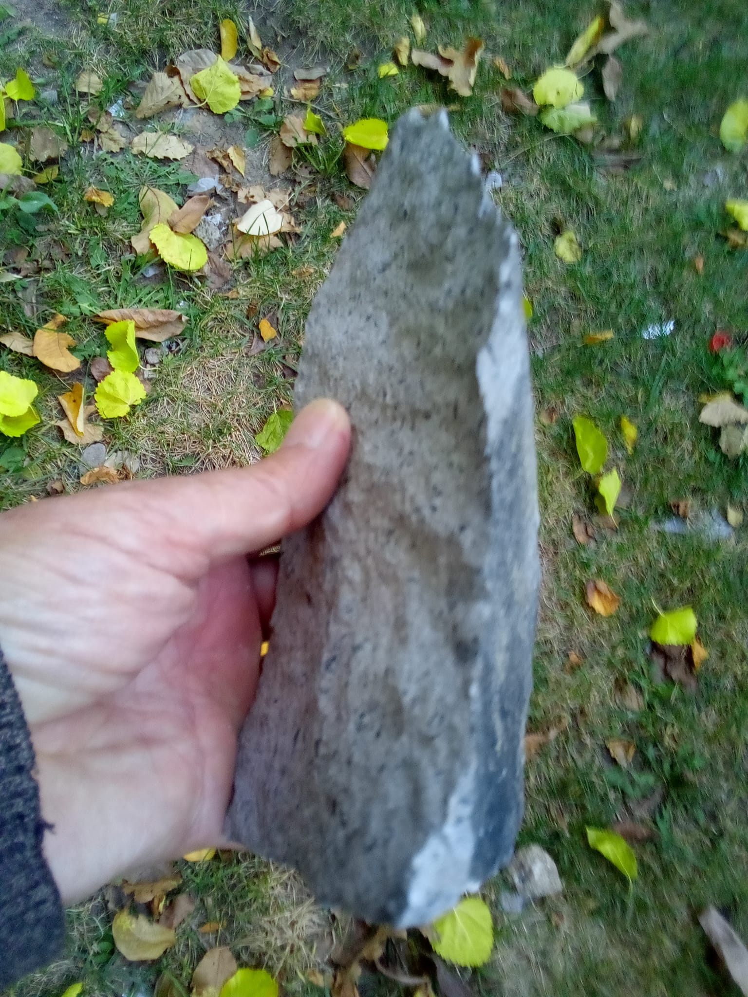 Whatsapp Image 2025 11 01 At 09.36.08