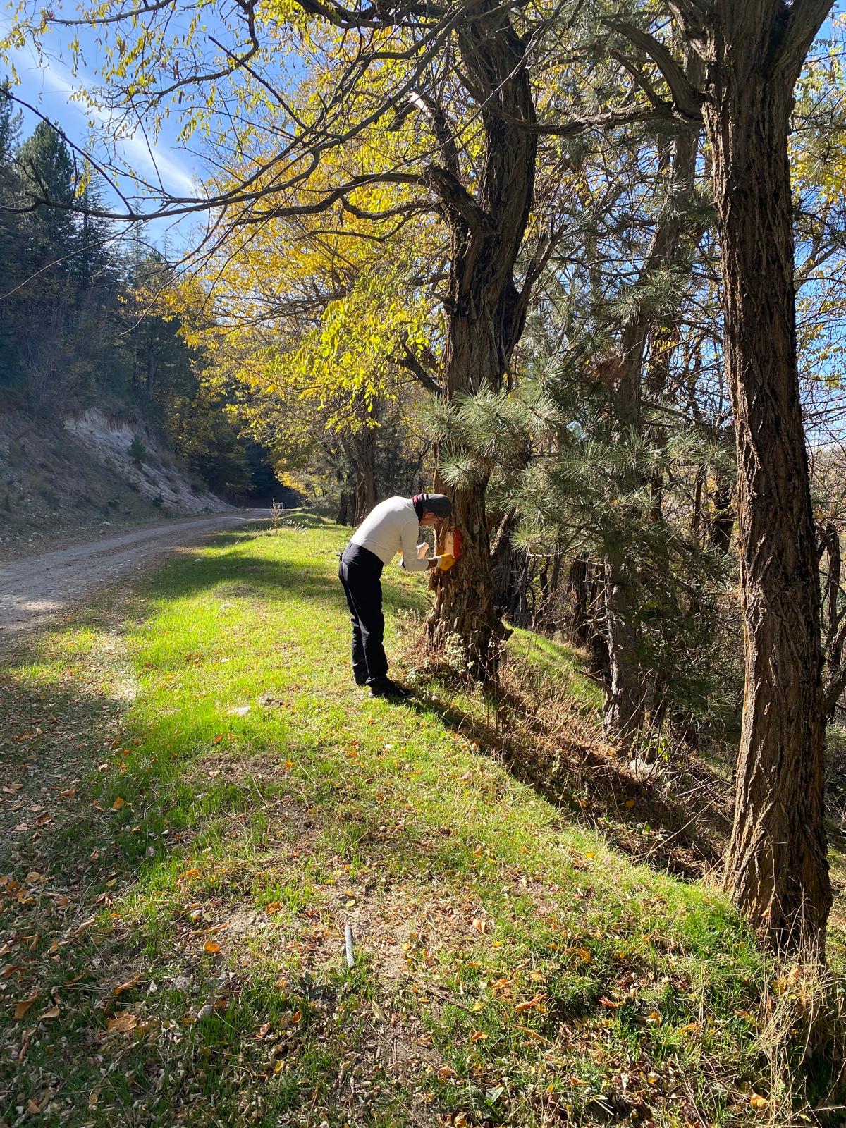 Whatsapp Image 2025 11 04 At 17.28.14 (1)