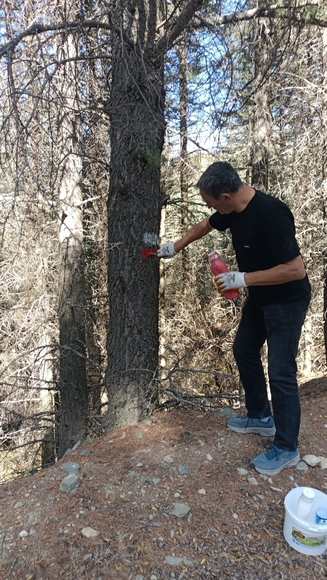 Whatsapp Image 2025 11 04 At 17.28.14 (2)