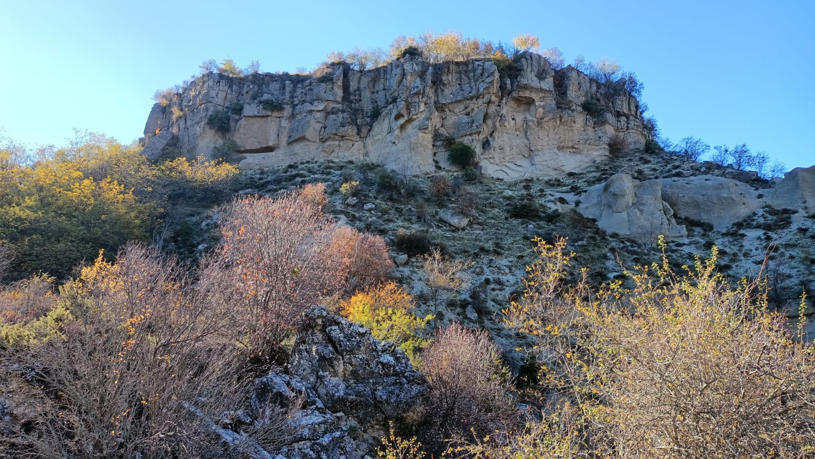 Whatsapp Image 2025 11 04 At 17.28.15