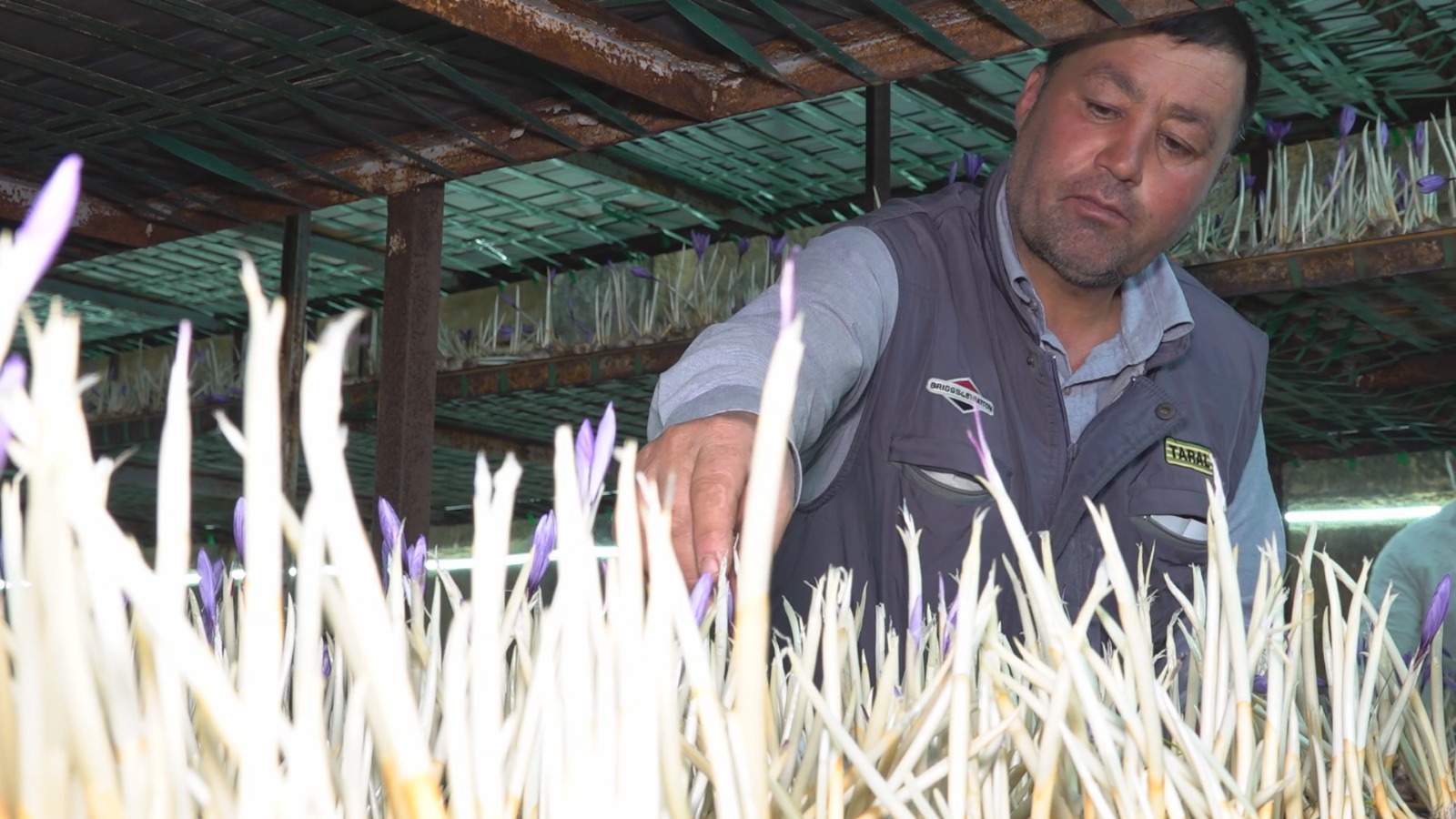 Whatsapp Image 2025 11 05 At 12.12.49 (1)