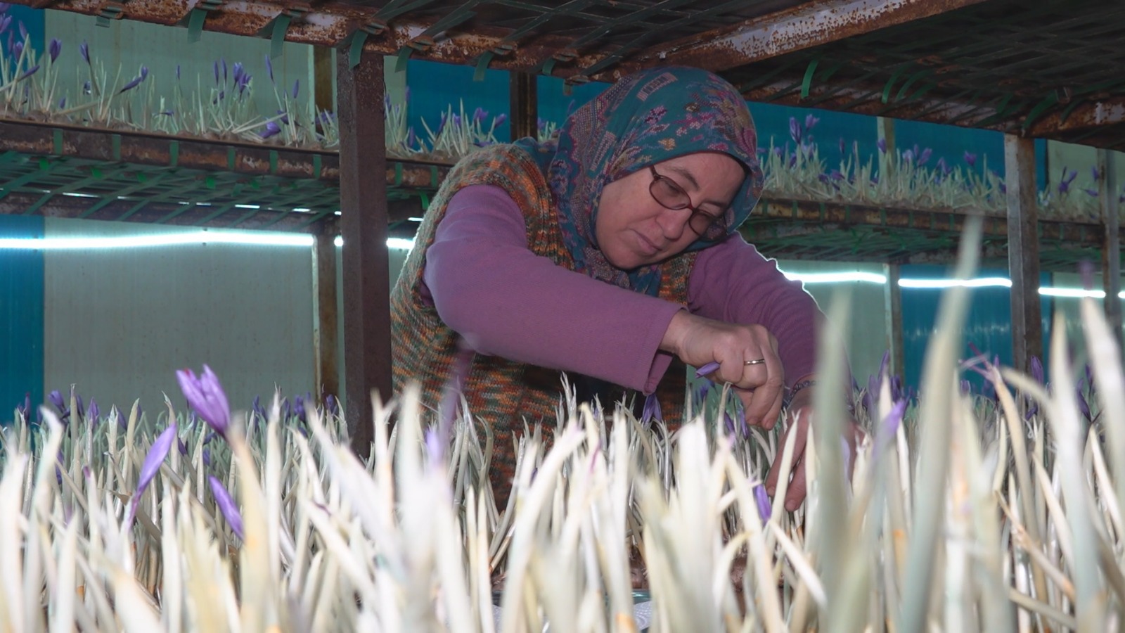 Whatsapp Image 2025 11 05 At 12.12.49