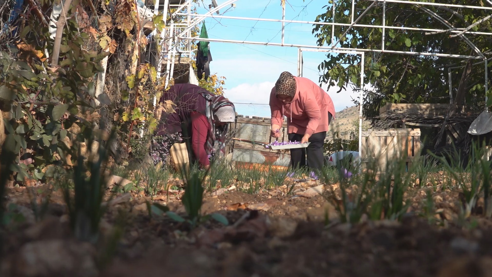 Whatsapp Image 2025 11 05 At 12.12.50 (1)