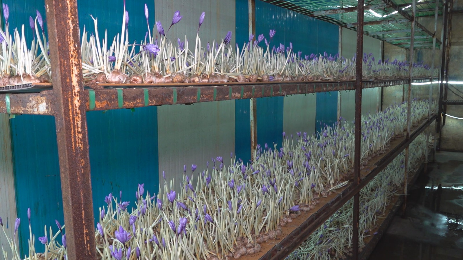 Whatsapp Image 2025 11 05 At 12.12.50 (3)