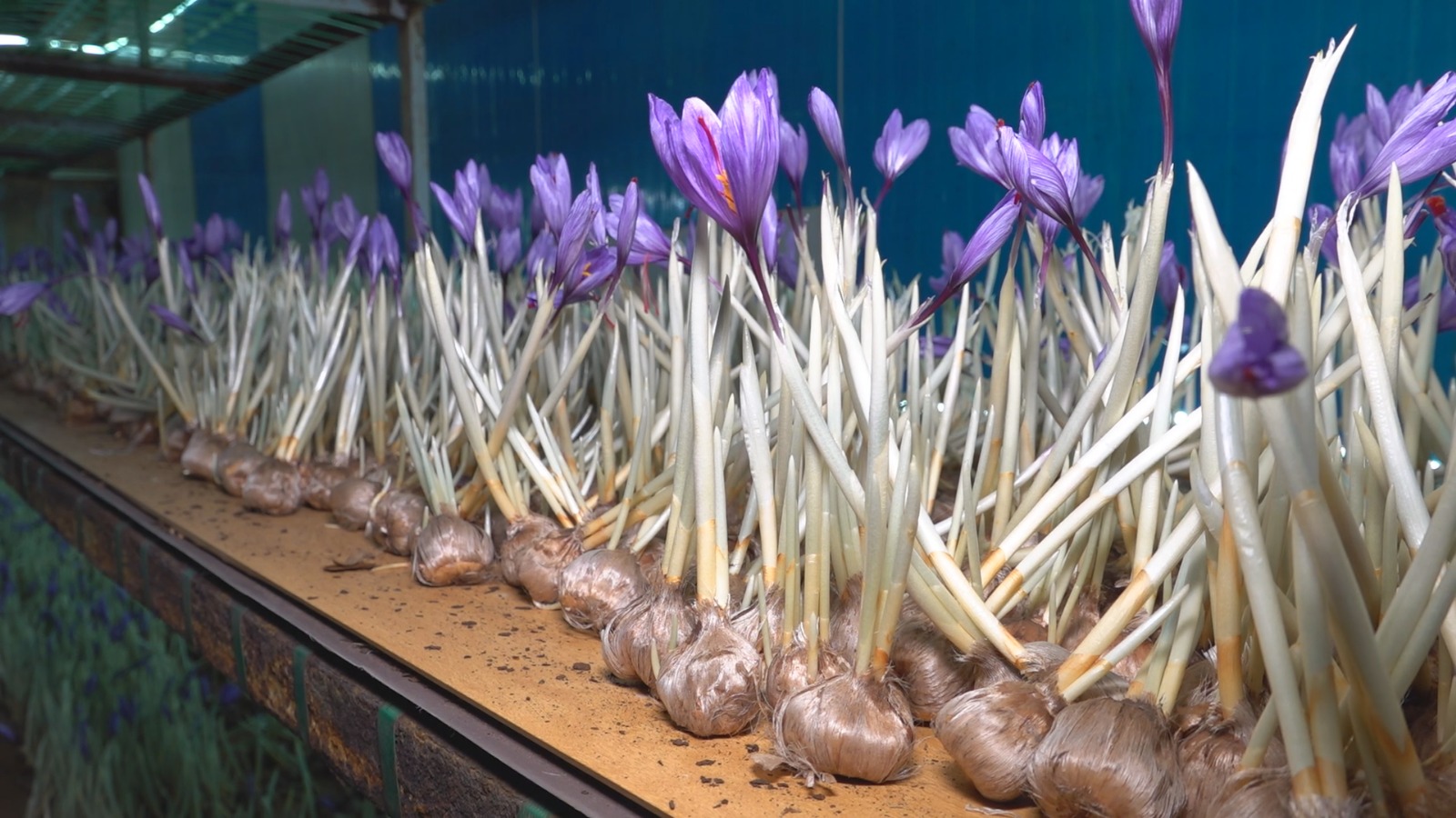 Whatsapp Image 2025 11 05 At 12.12.50