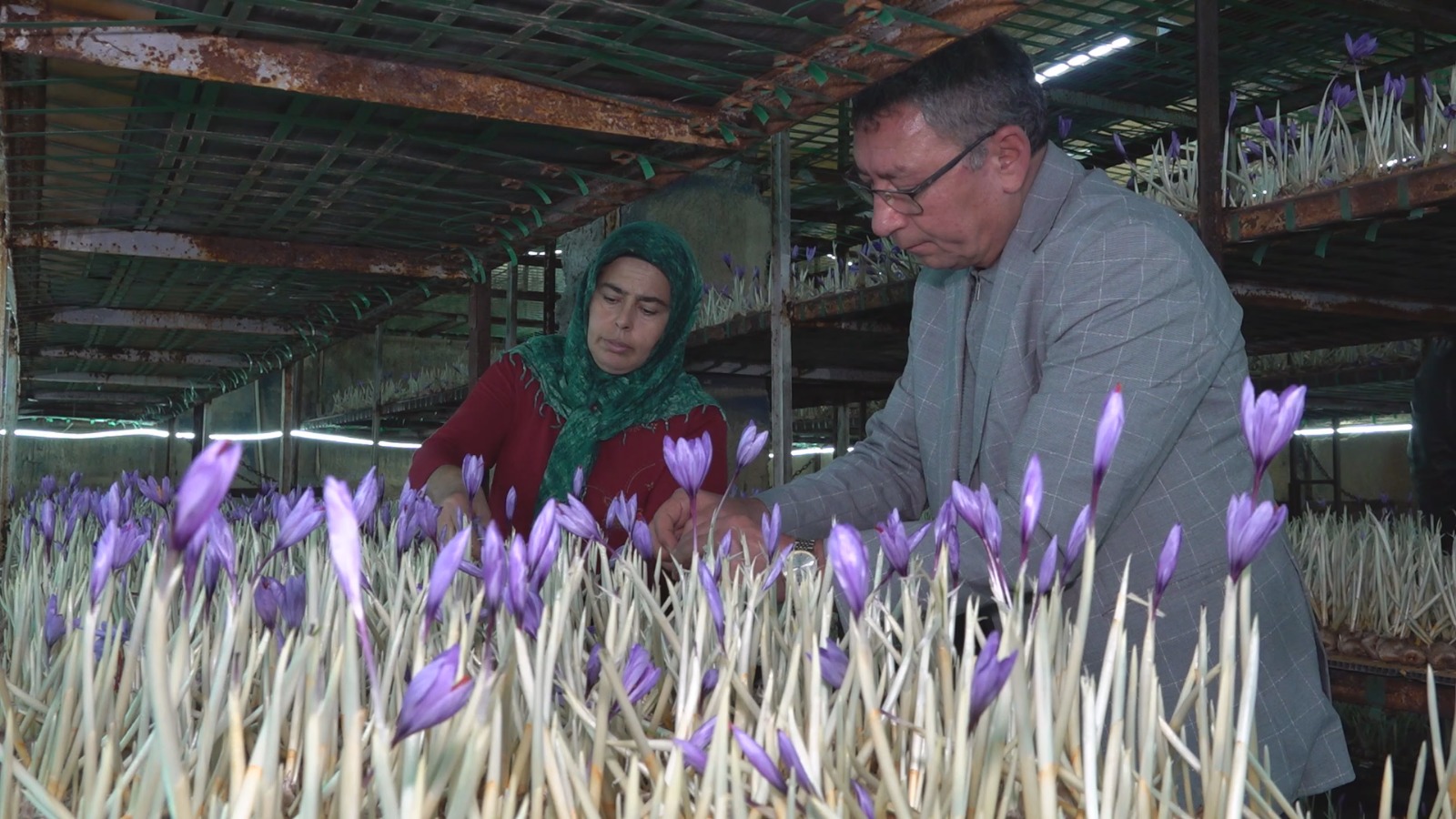 Whatsapp Image 2025 11 05 At 12.12.51