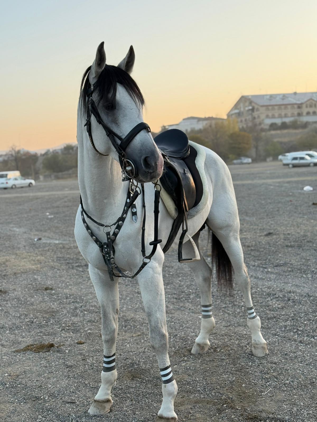 Whatsapp Image 2025 11 11 At 09.39.21 (2)