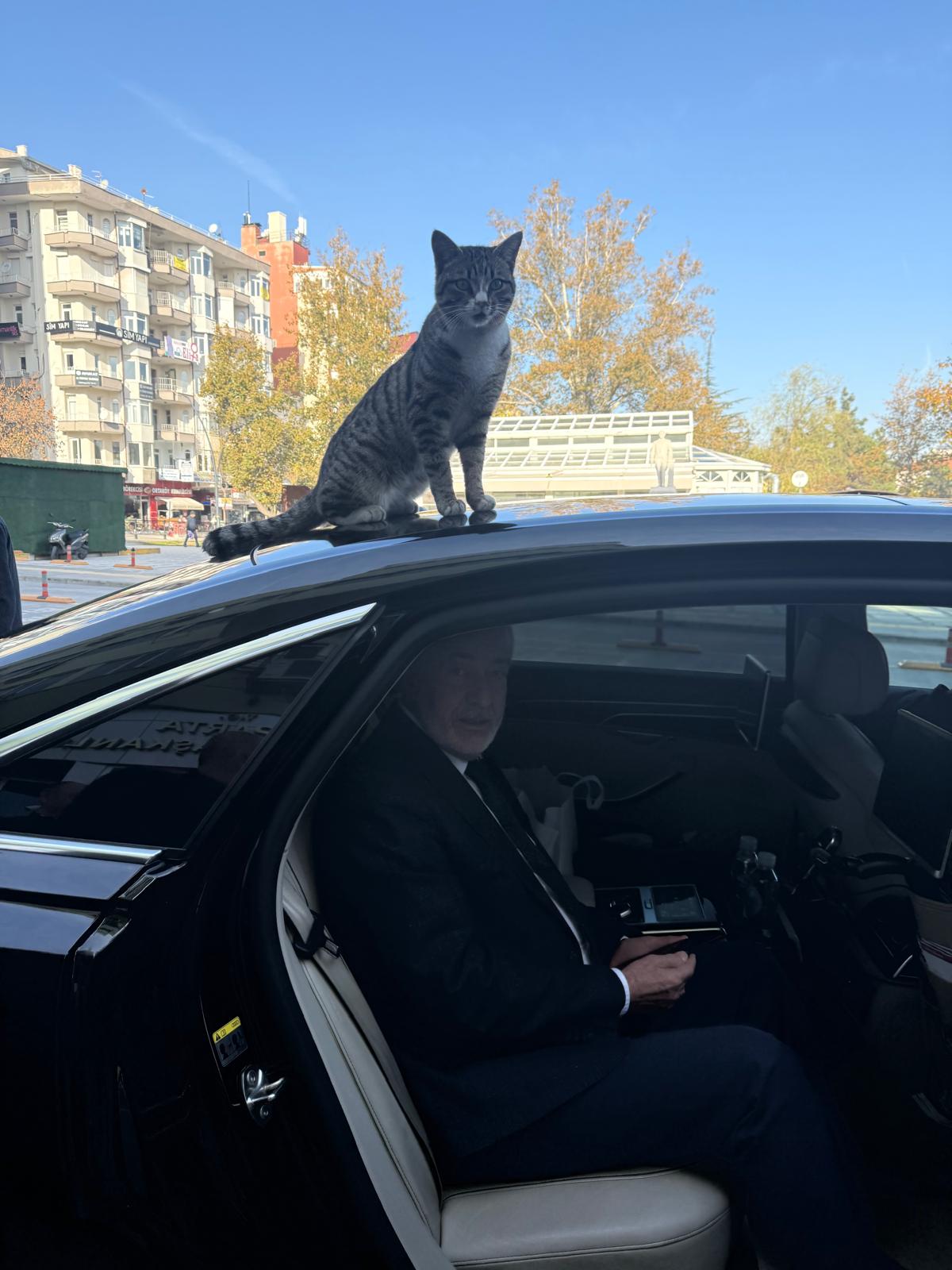 Whatsapp Image 2025 11 20 At 11.02.00