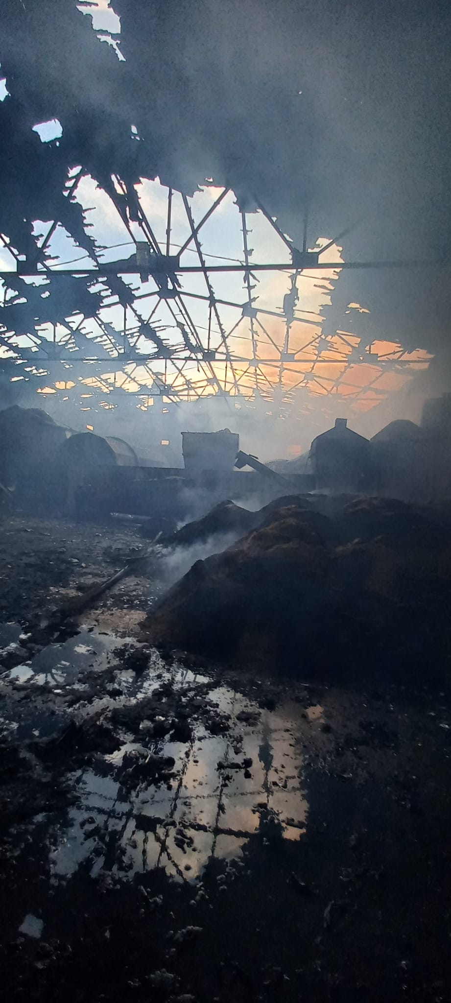 Whatsapp Image 2025 11 22 At 08.29.03 (2)