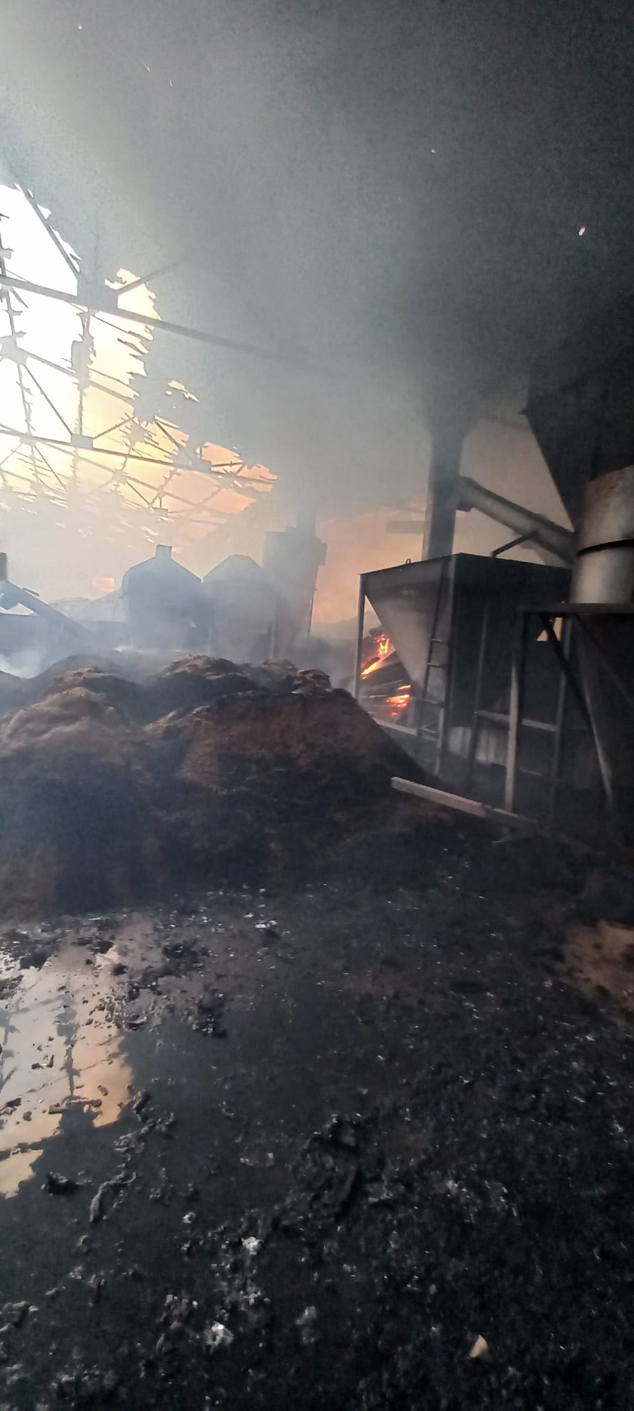 Whatsapp Image 2025 11 22 At 08.29.03 (4)