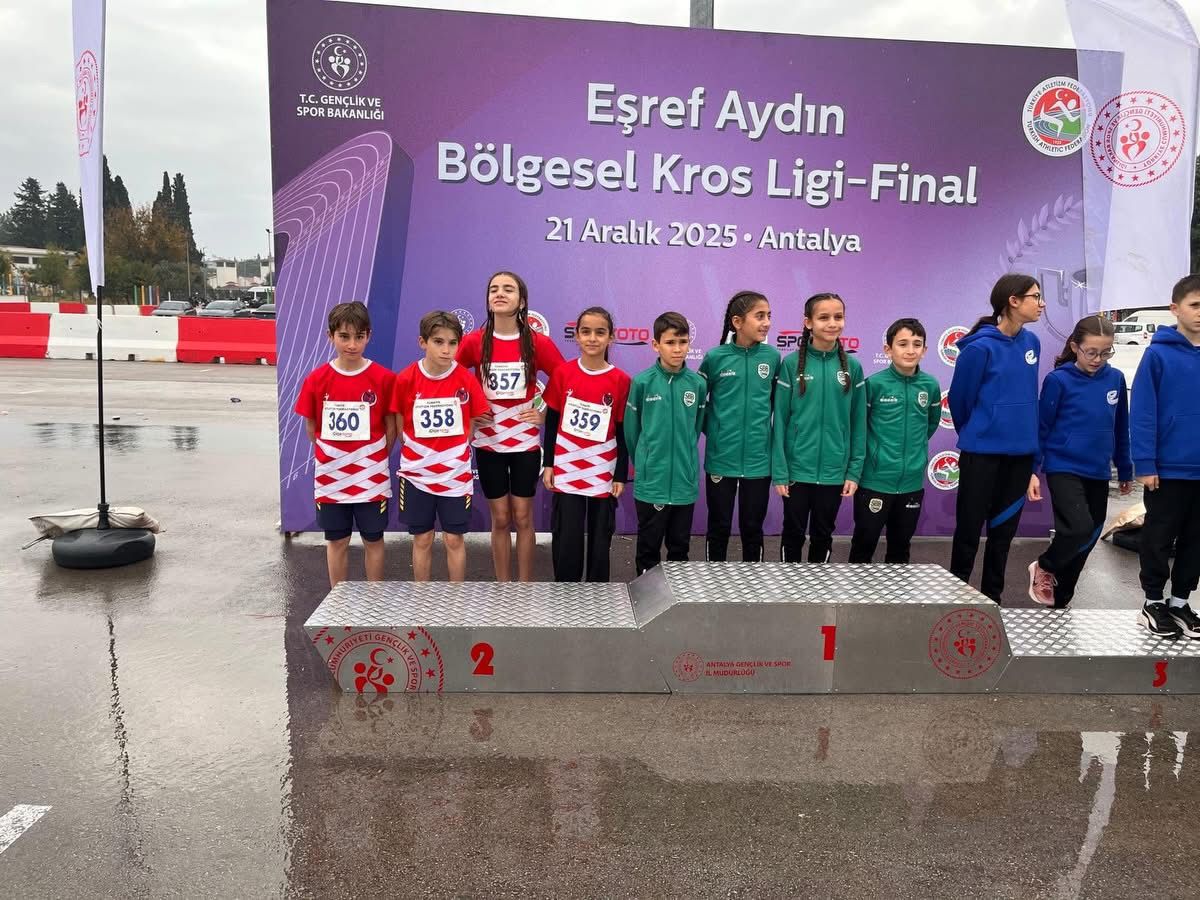 08Ee2E92 2Ed8 4A46 A792 69E0Dbfaf7F8