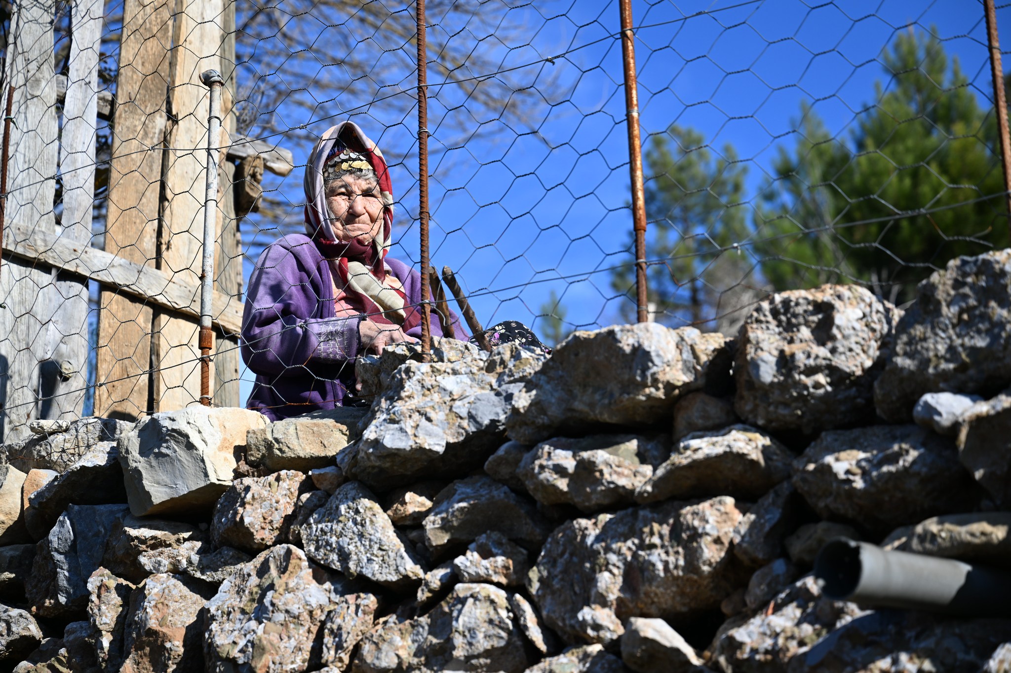 597064026 1399571228288441 5371590041666761624 N