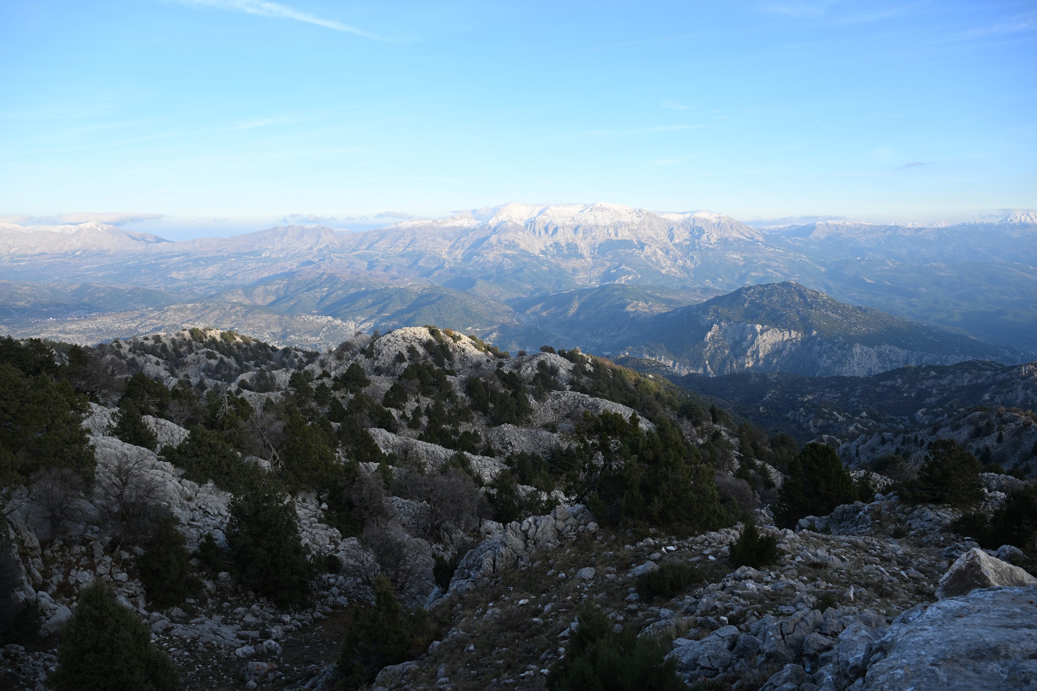 597397855 1399582528287311 241945925336762130 N