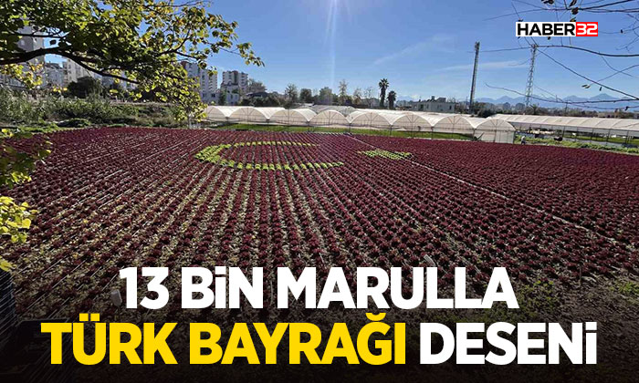 Antalya’da çiftçiler 1,5 dönümlük tarlaya 13 bin marulla Türk bayrağı deseni oluşturdu