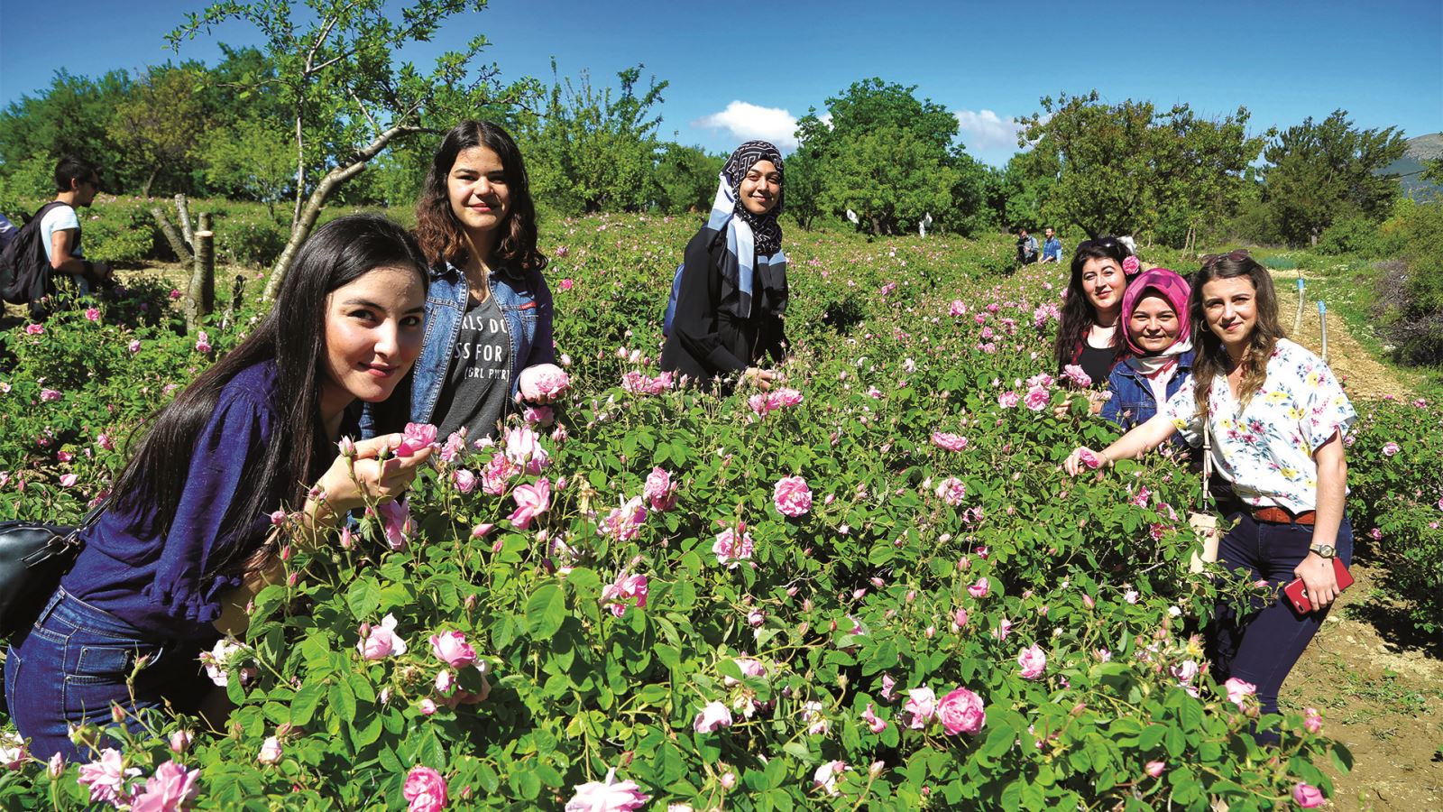 Whatsapp Image 2025 12 05 At 16.23.34