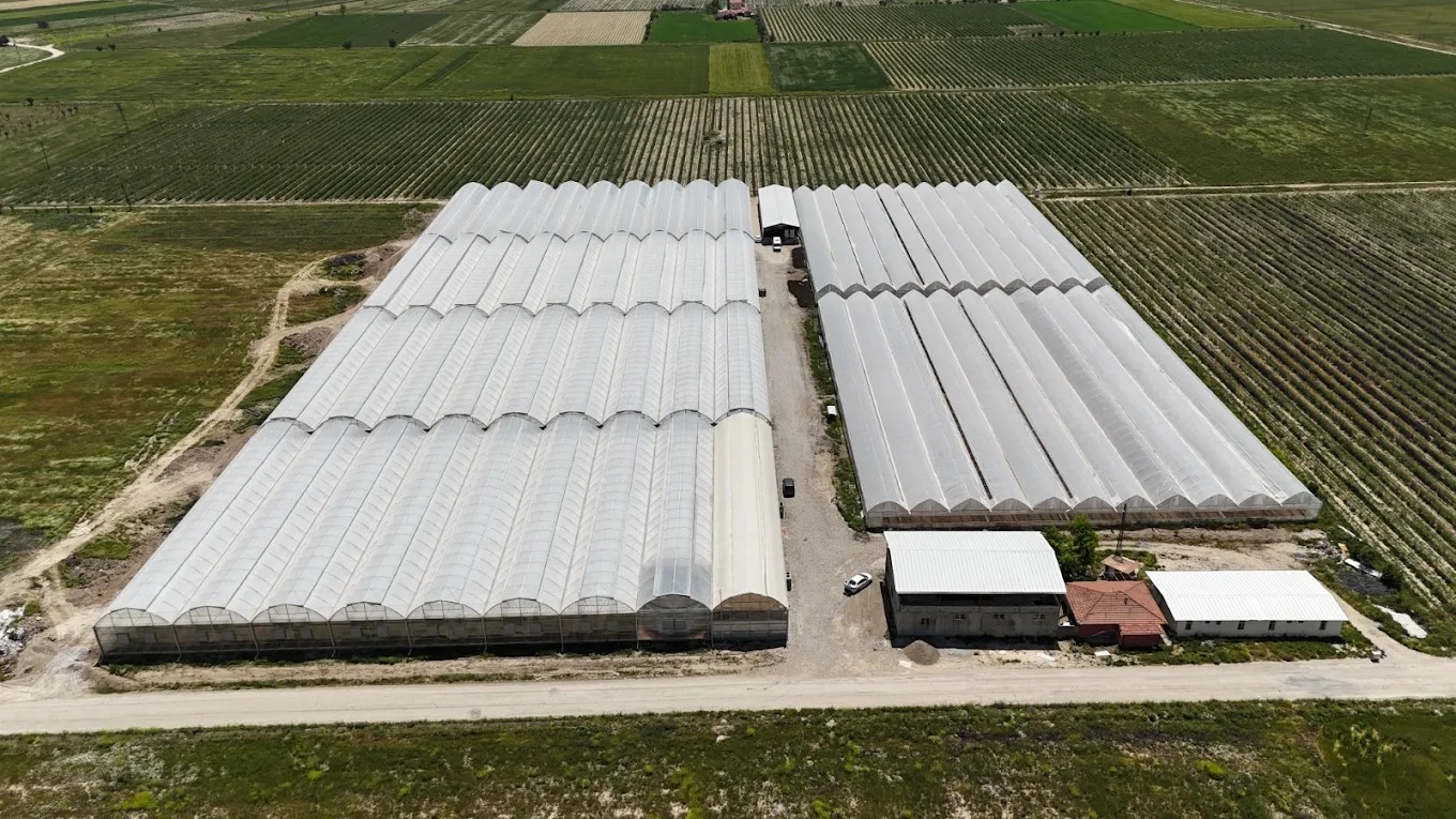 Whatsapp Image 2025 12 06 At 17.09.31