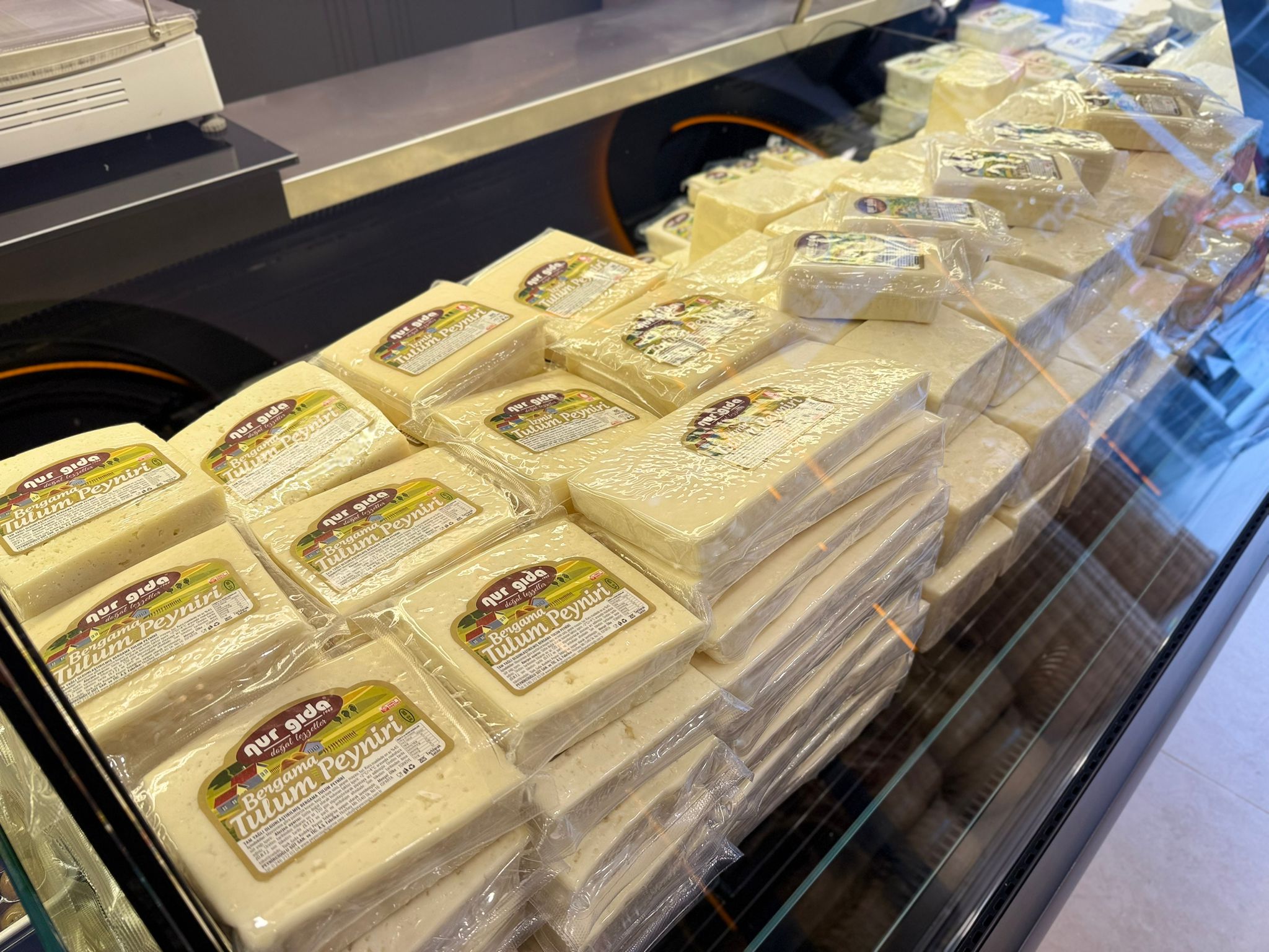 Whatsapp Image 2025 12 08 At 16.28.42