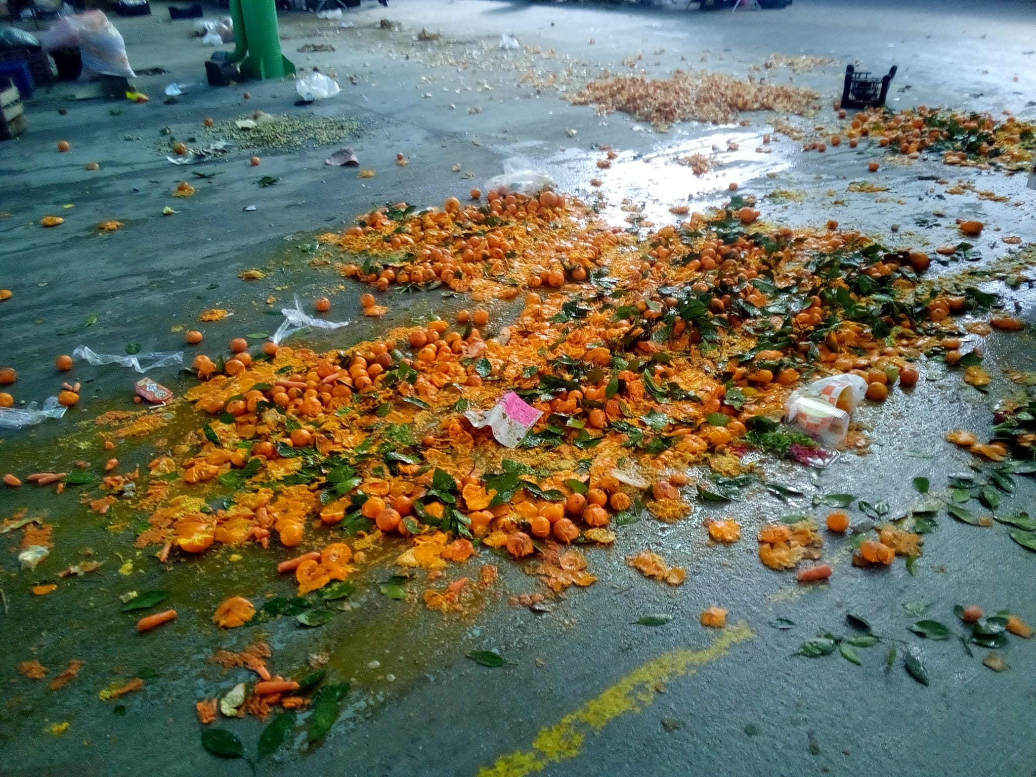 5744D8Fb 492E 4F21 8F9B B275E0C9C9D8