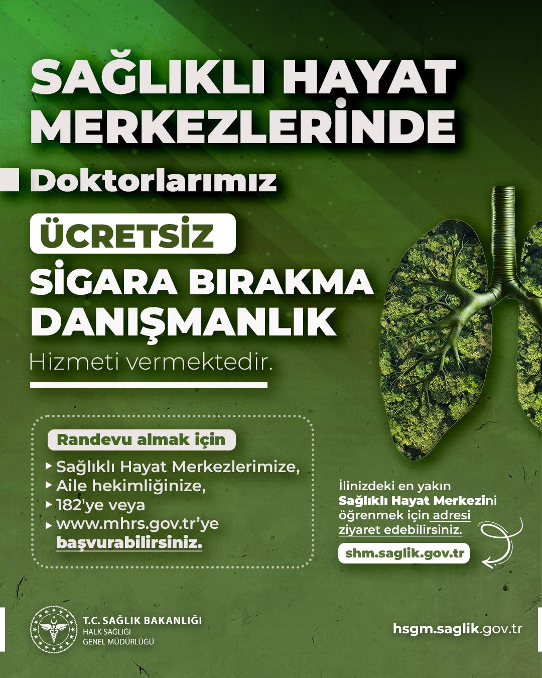 C7406C26 Daad 4A32 A179 31Aa7C1E1425