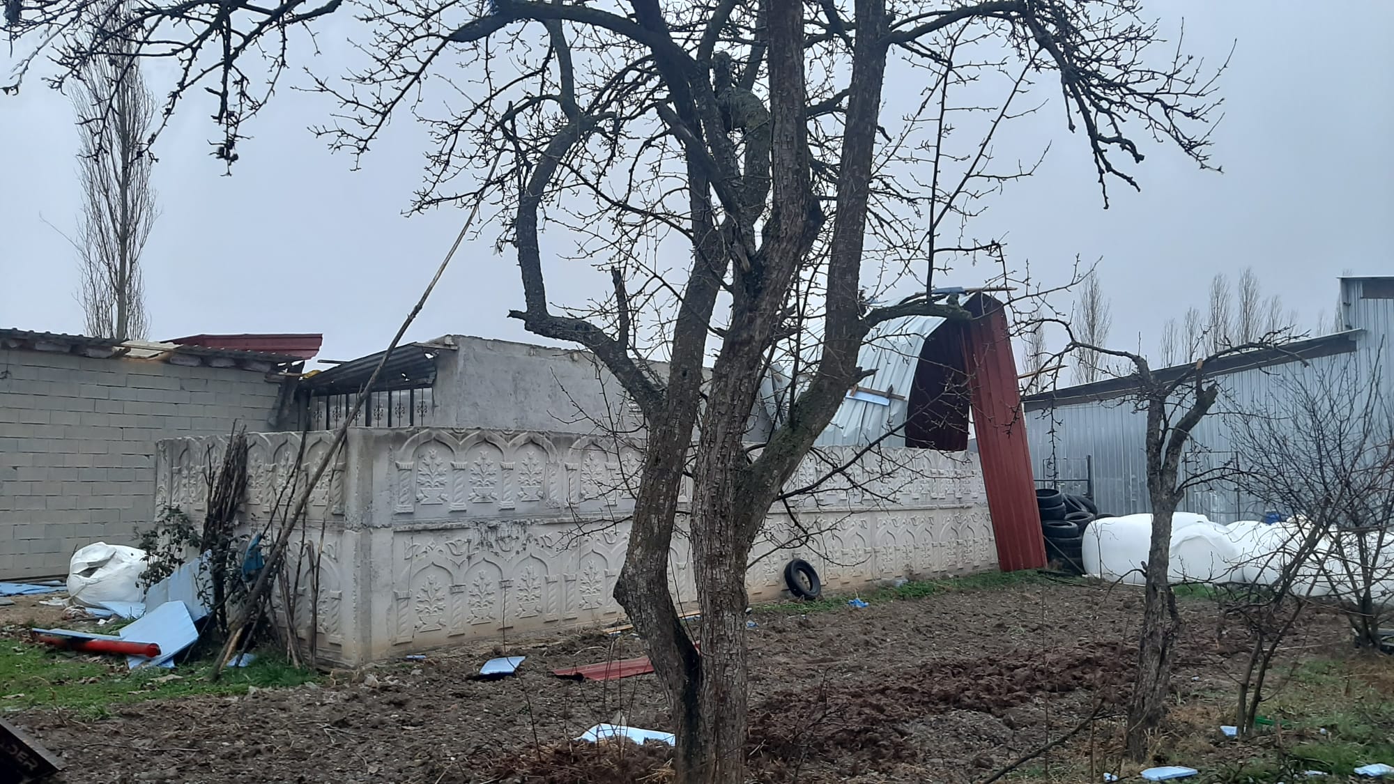 Çariksaray Rüzgar (1)