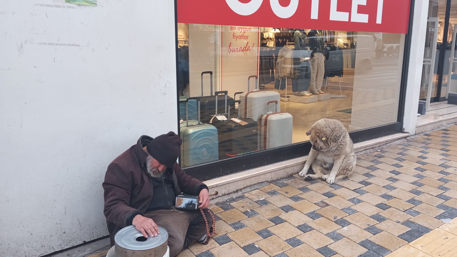 0Cd8Fd75 Bf87 46B4 A4F7 11Acaa8659Ae