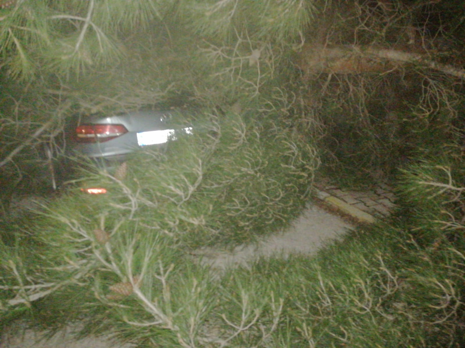 58D853Af 6Fb0 4Eb5 9492 150640D675Ea