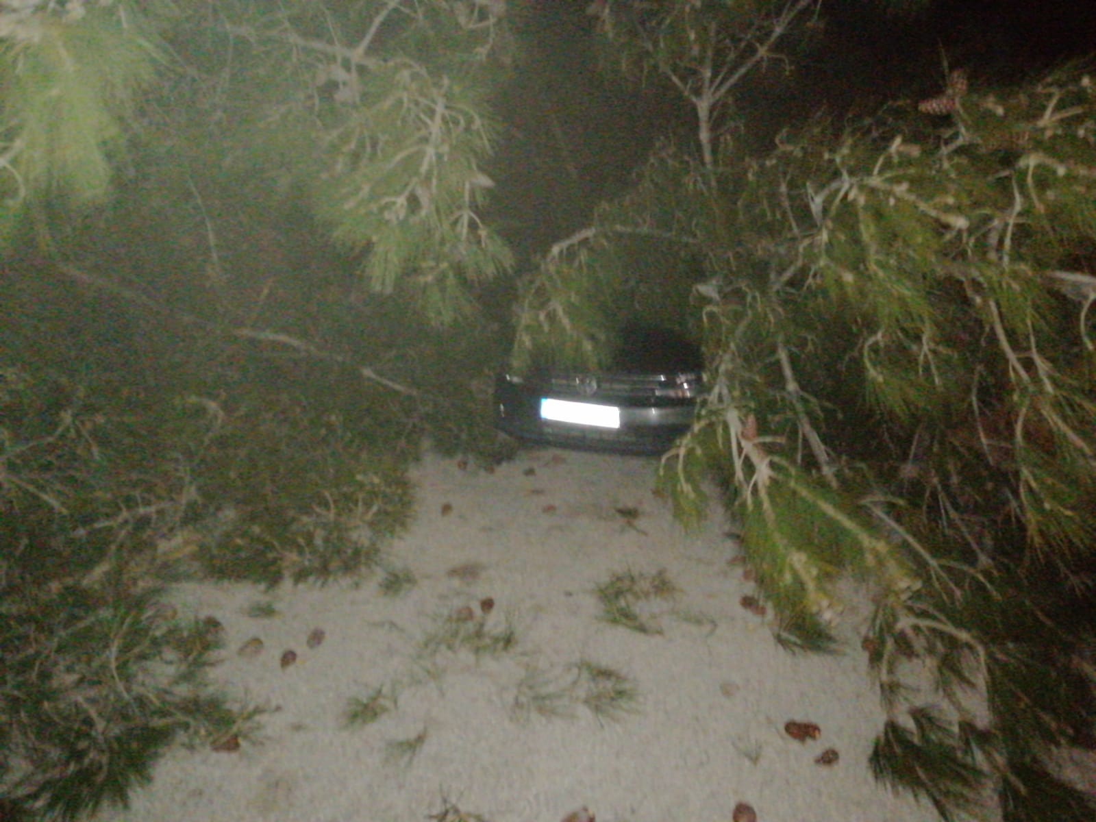 7A9879C3 58E7 4690 B7A2 E134F2B7Af2B