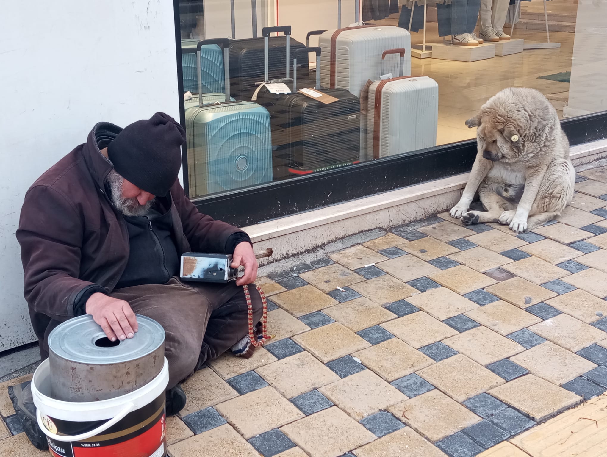 9A81352D E14E 40Ae 9103 C799Ff32741A